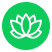 Wellness Wellness