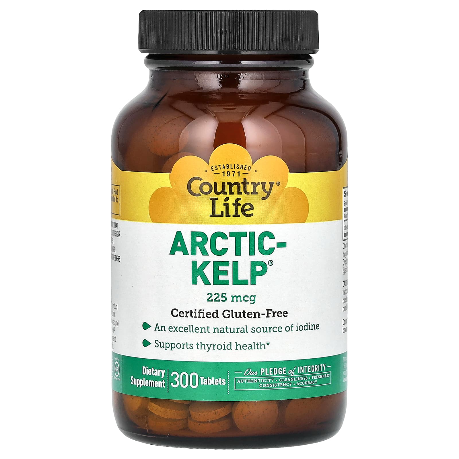 Country Life, Arctic-Kelp, 225 mcg, 300 Tabs