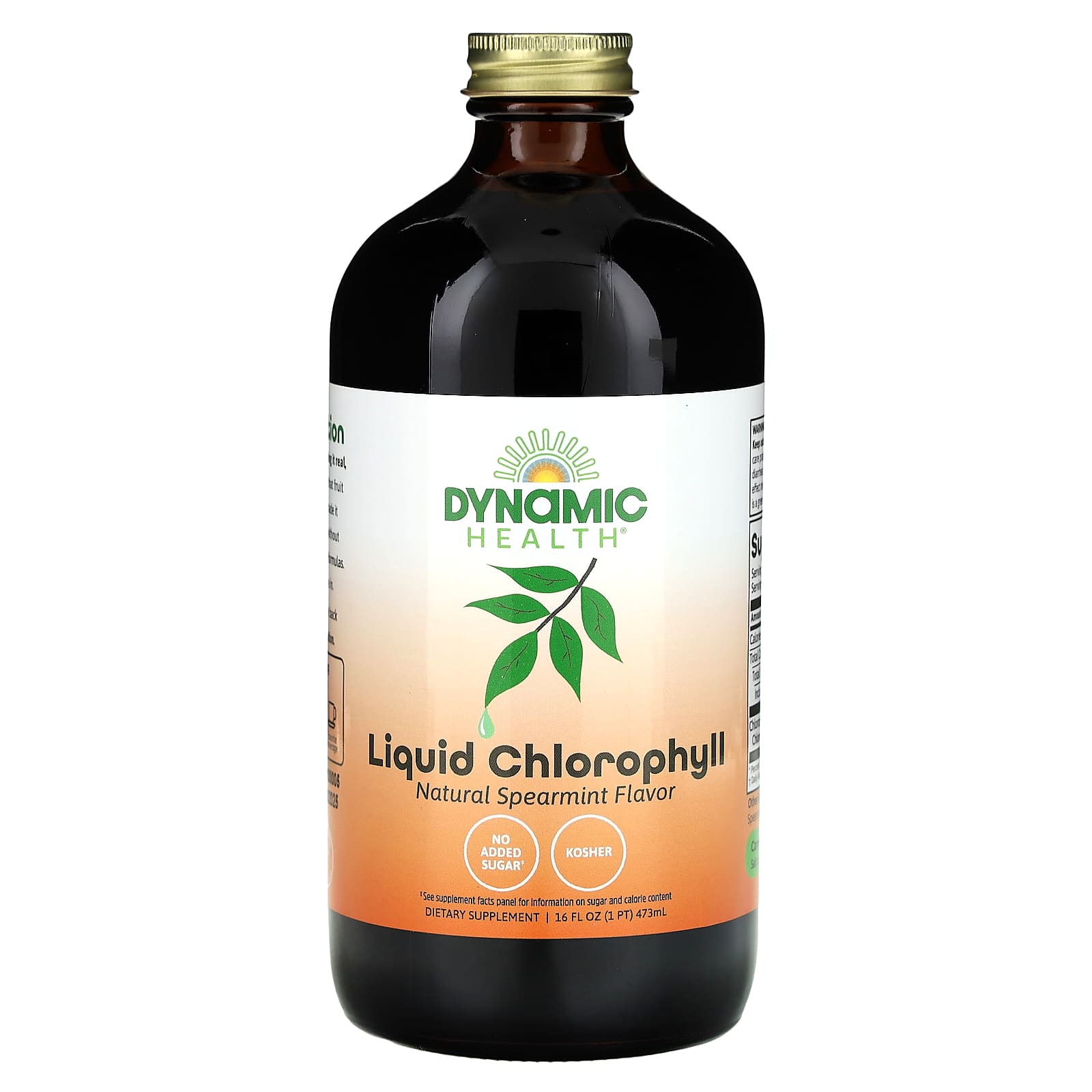 Dynamic Health, Liquid Chlorophyll, Natural Spearmint, 16 fl oz (473 ml) - B0047CU6VU