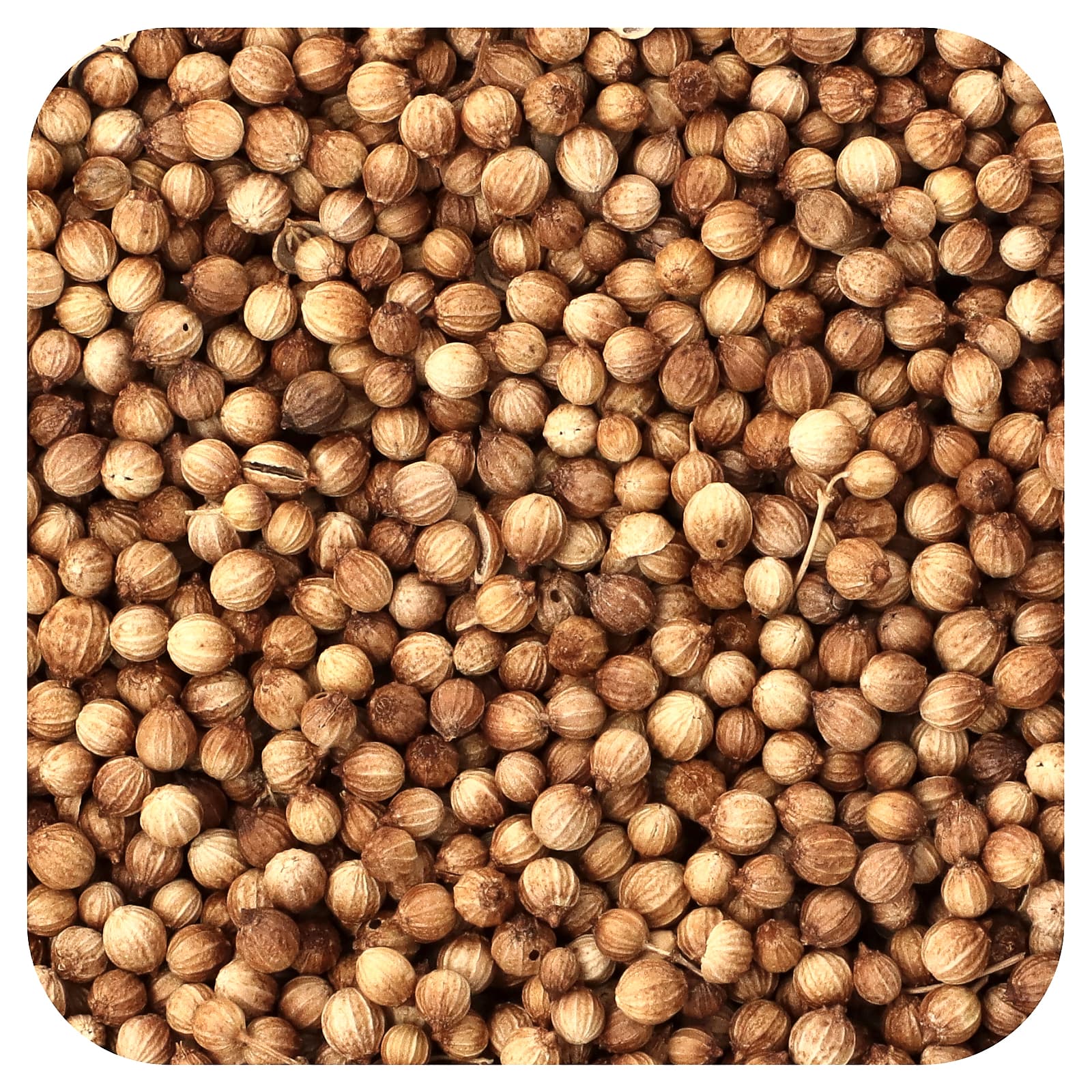 Frontier Co-op, Organic Whole Coriander Seed, 16 oz (453 g) - B0001M11GO