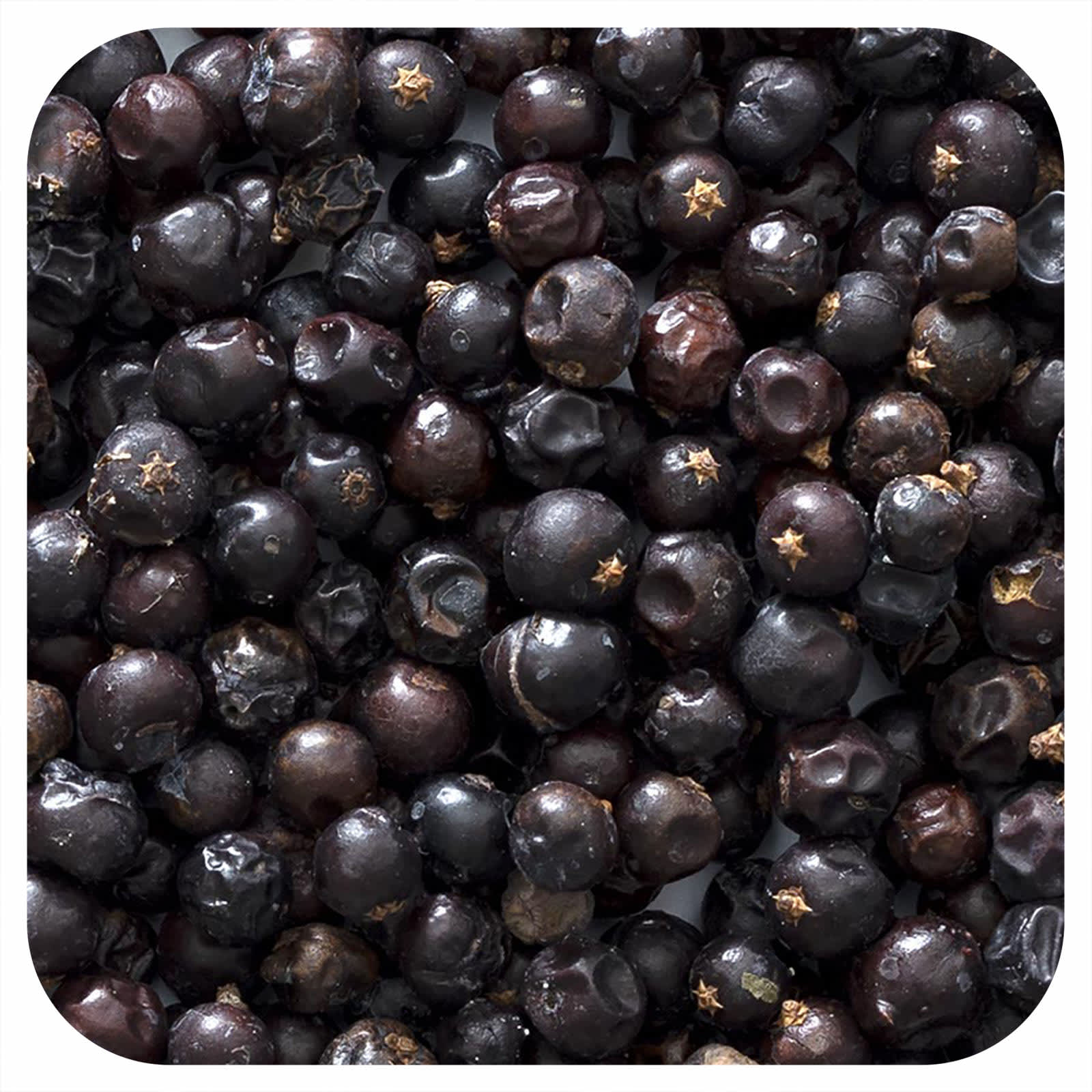 Frontier Co-op, Whole Juniper Berries, 16 oz (453 g) - B0012BUL96