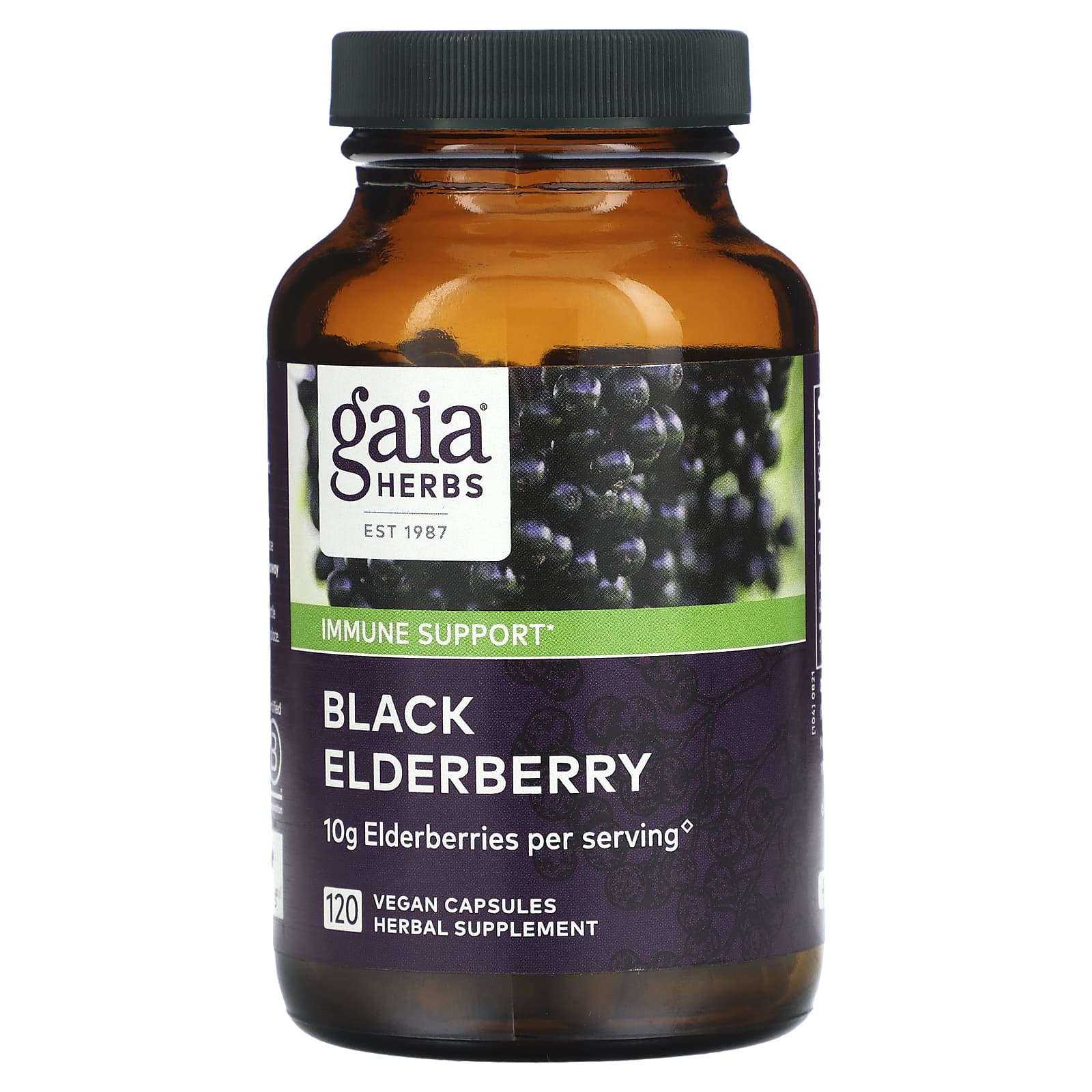 Gaia Herbs, Black Elderberry , 120 Vegan Capsules - B07L54SCPS