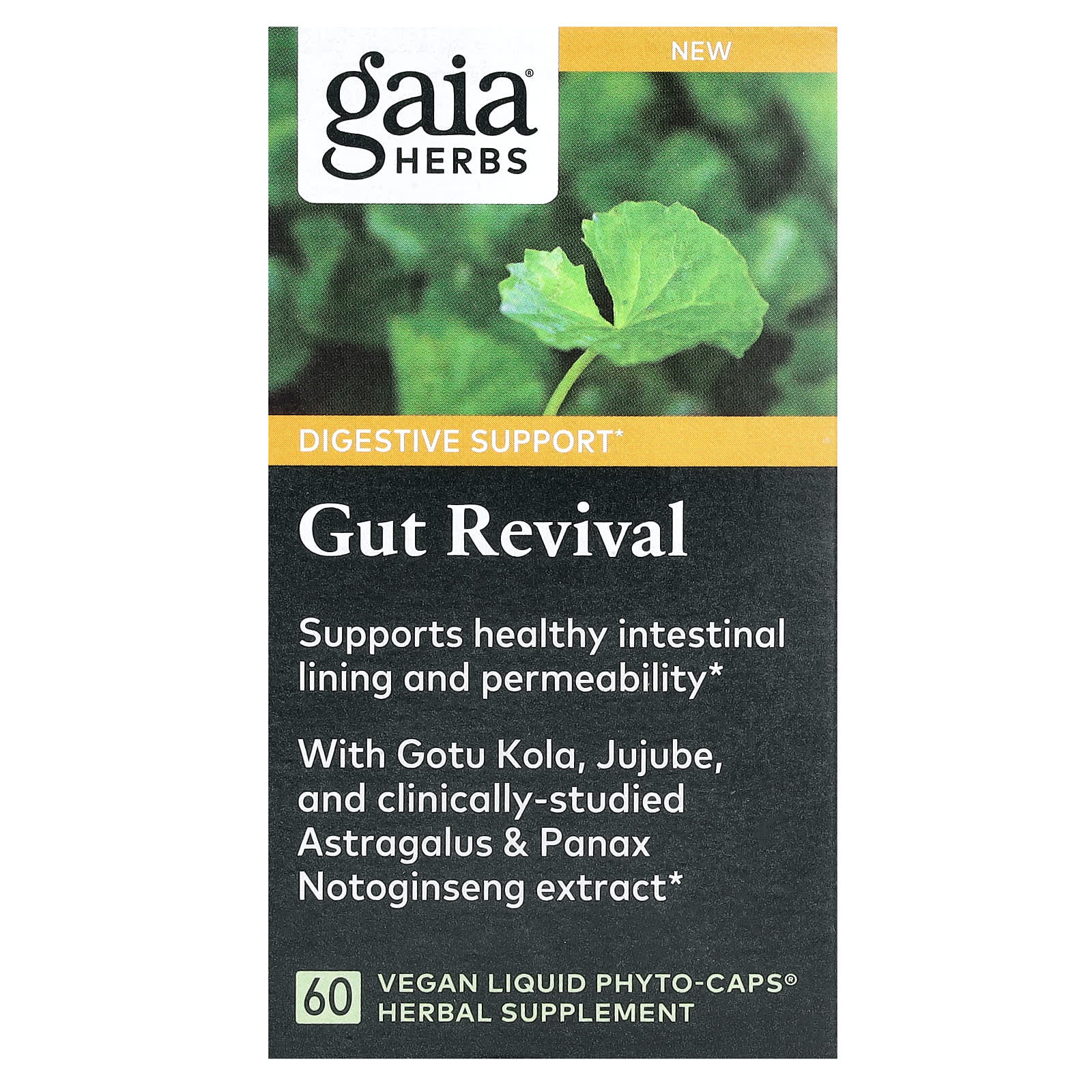 Gaia Herbs, Gut Revival, 60 Vegan Liquid Phyto-Caps - B0CKS1H2MH