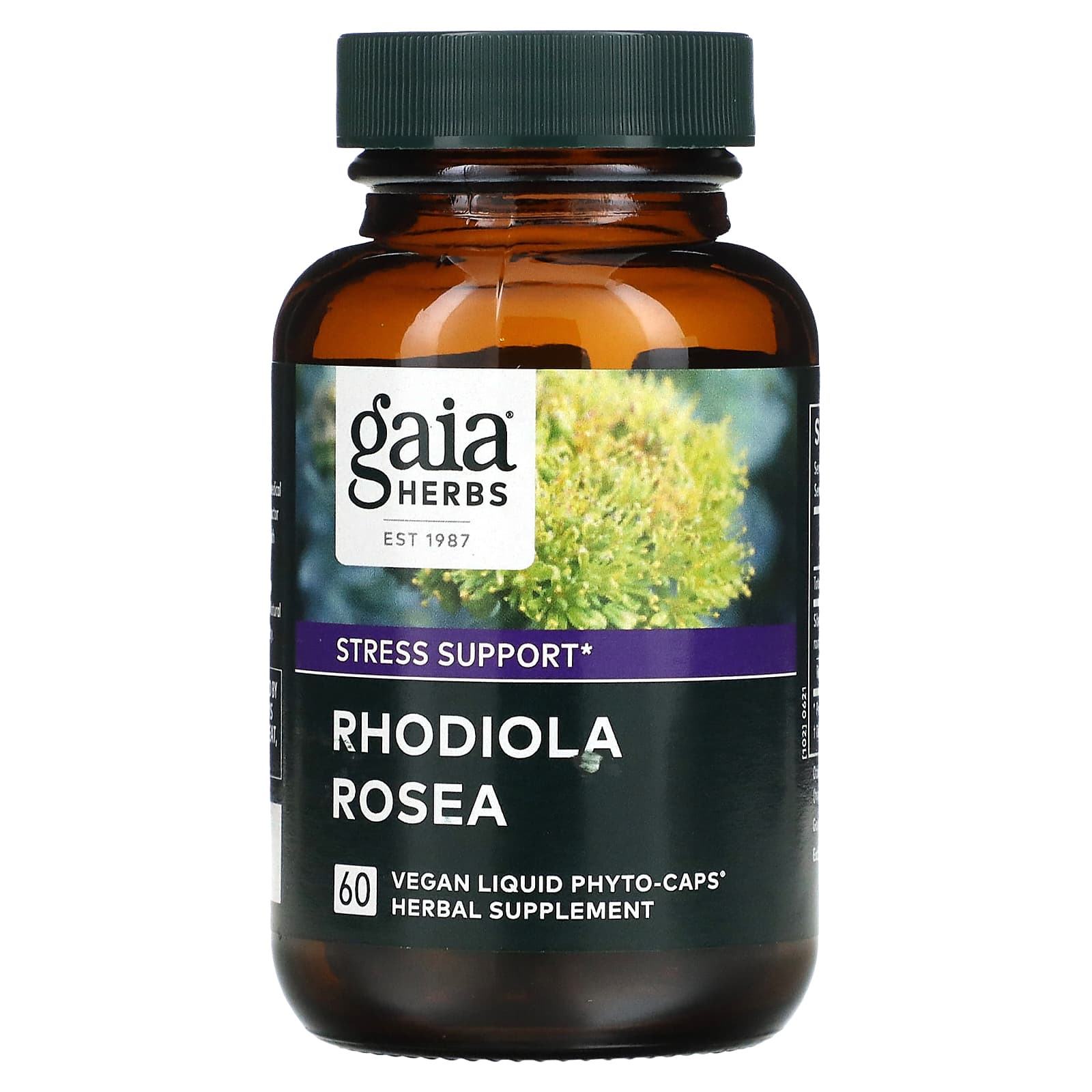 Gaia Herbs, Rhodiola Rosea, 60 Vegan Liquid Phyto-Caps - B0036THNA2