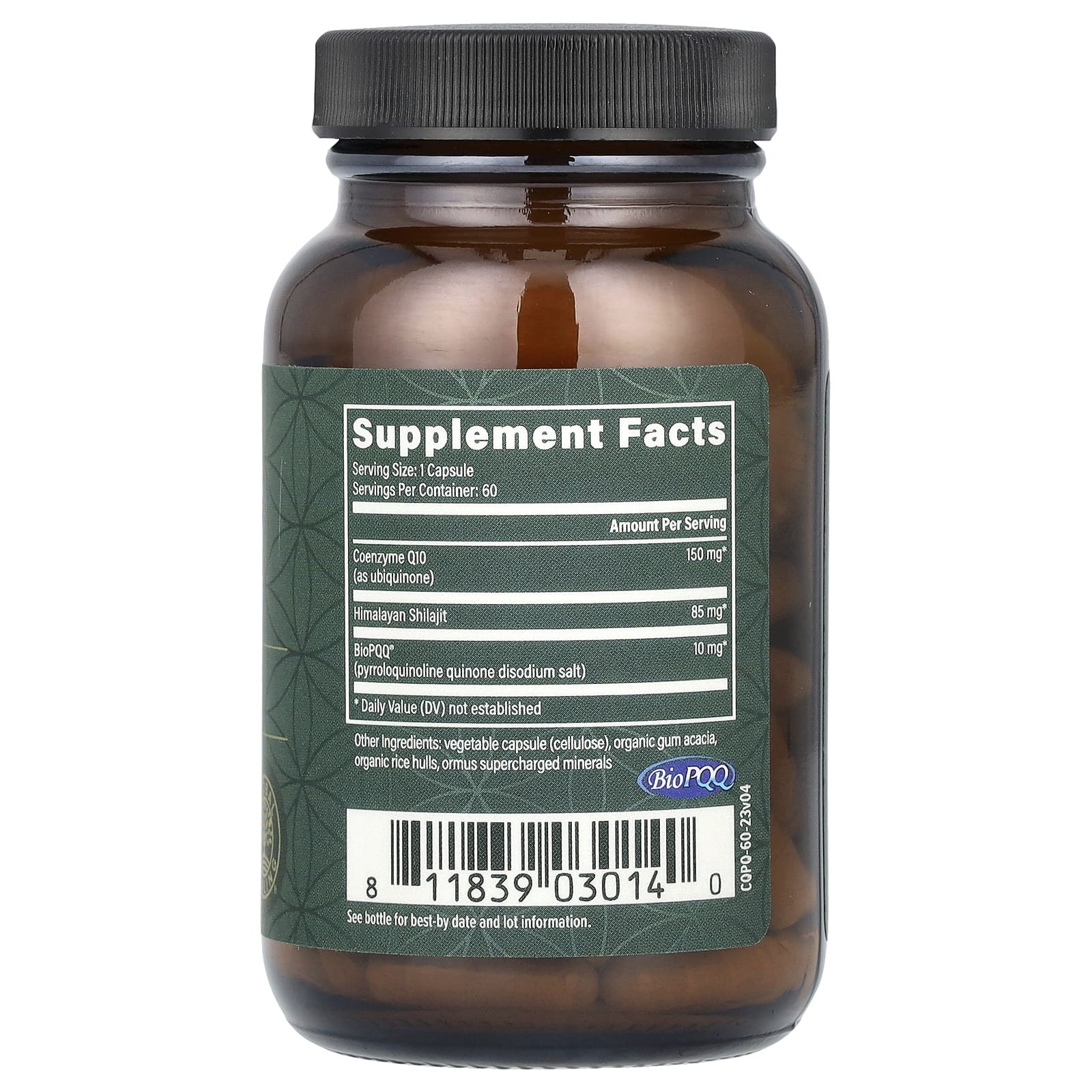 Global Healing, CoQ10 & BioPQQ with Himalayan Shilajit, 60 Capsules - B07SFKJSBT