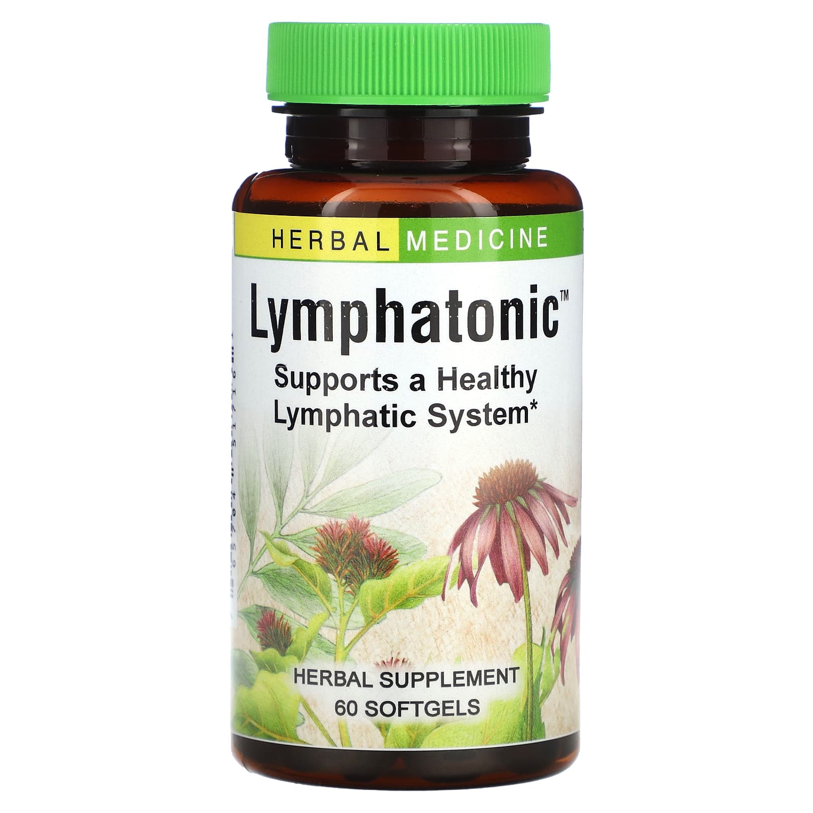 Herbs Etc., Lymphatonic, 60 Softgels - B001ED1KQU
