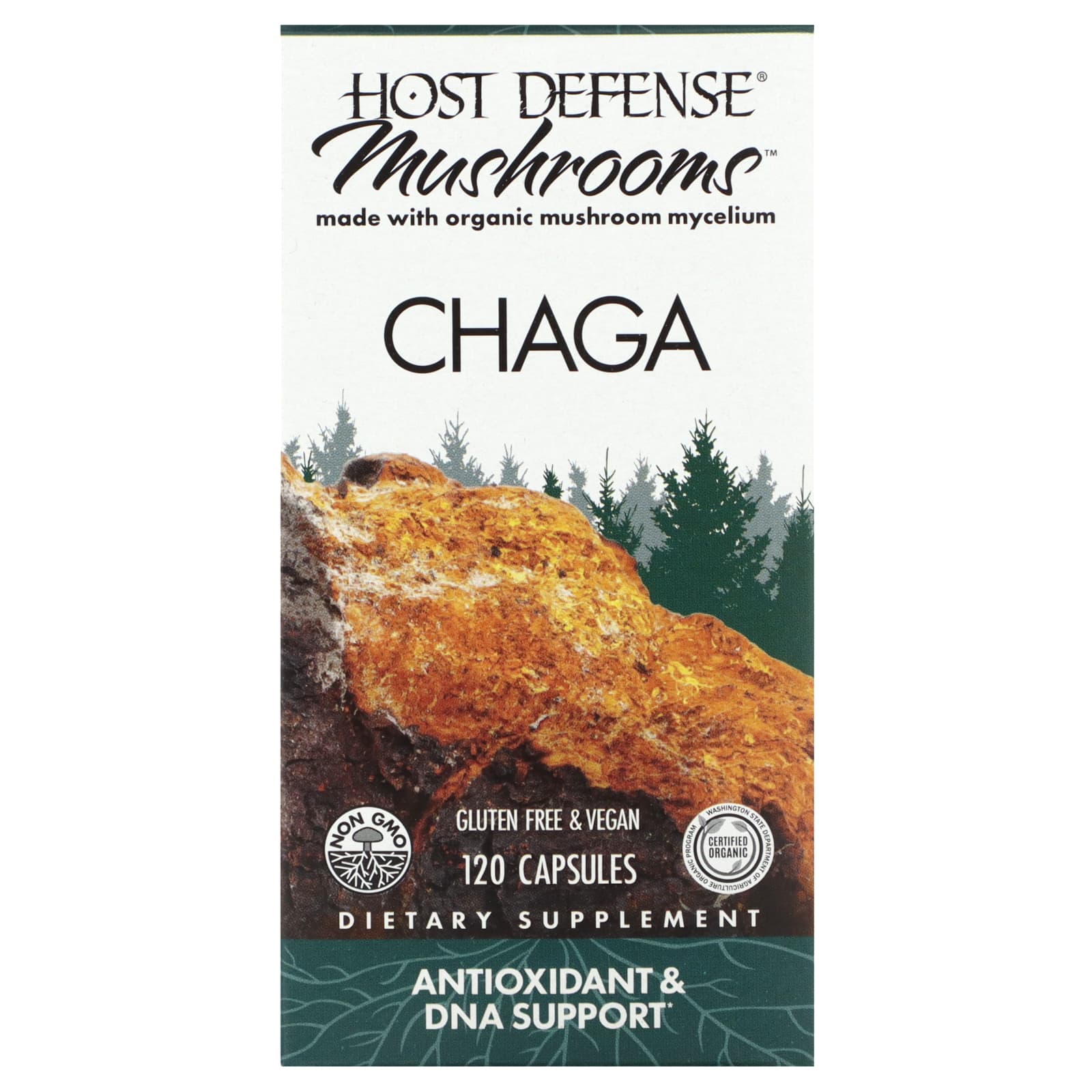 Host Defense, Mushrooms, Chaga, 120 Capsules
