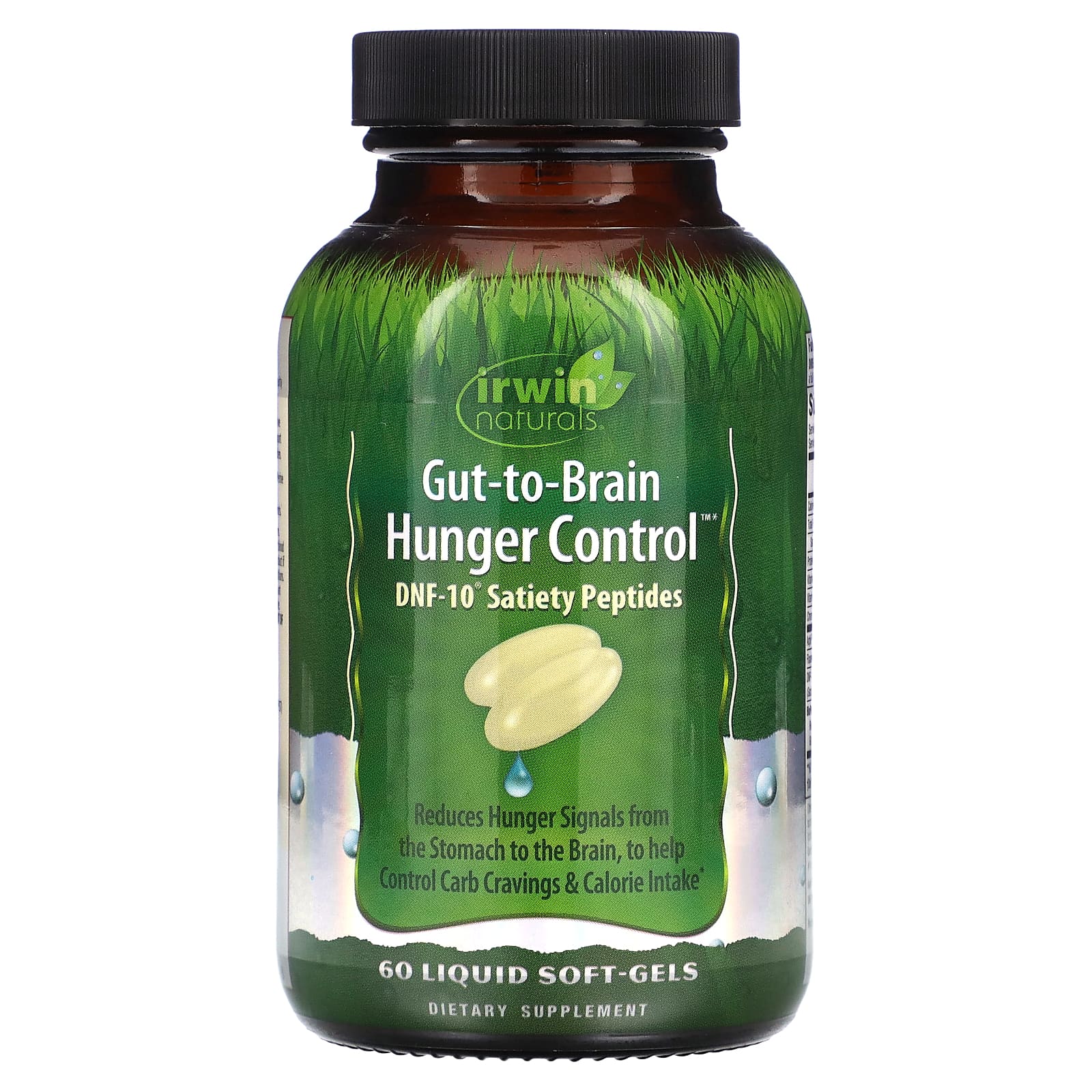 Irwin Naturals, Gut-To-Brain Hunger Control, 60 Liquid Soft-Gels - B00289933G