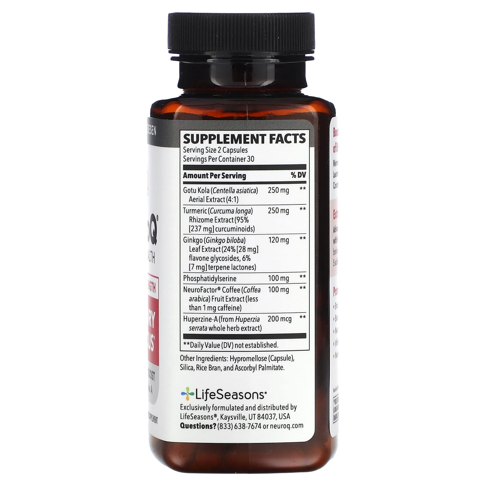 LifeSeasons, NeuroQ Brain Health, Memory & Focus, Extra Strength, 60 Veg Capsules - B0BSYCKST2