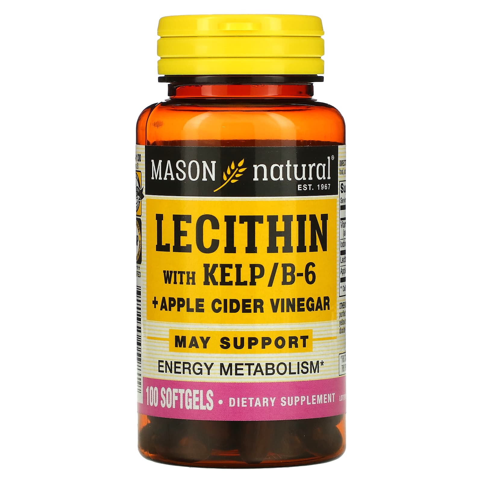 Mason Natural, Lecithin with Kelp/B6 Plus Apple Cider Vinegar, 100 Softgels - B00431I5E0
