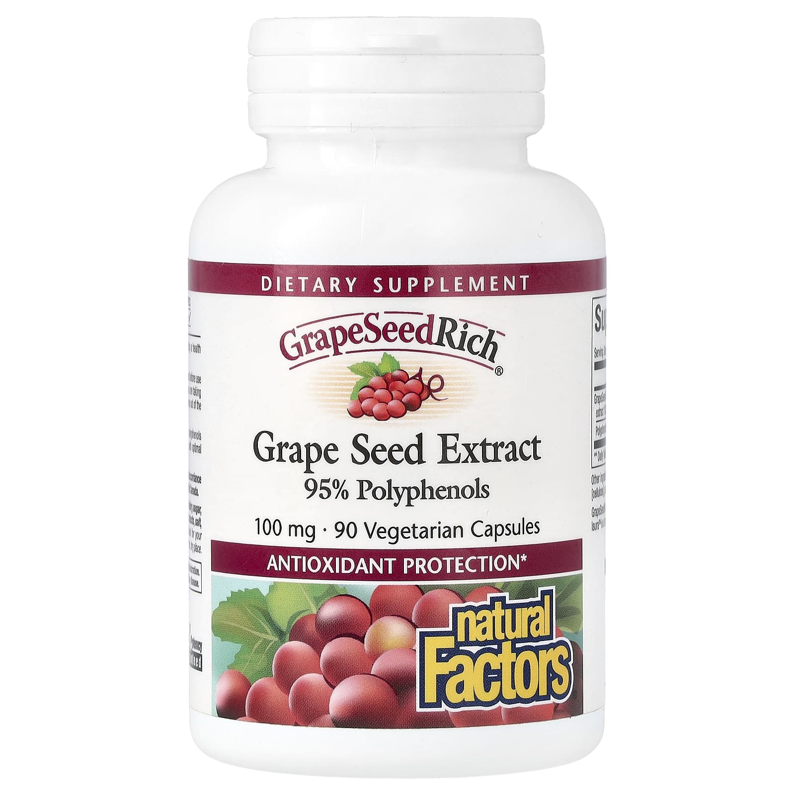 Natural Factors, GrapeSeedRich, Grape Seed Extract, 100 mg, 90 Vegetarian Capsules - B0006NX8VO