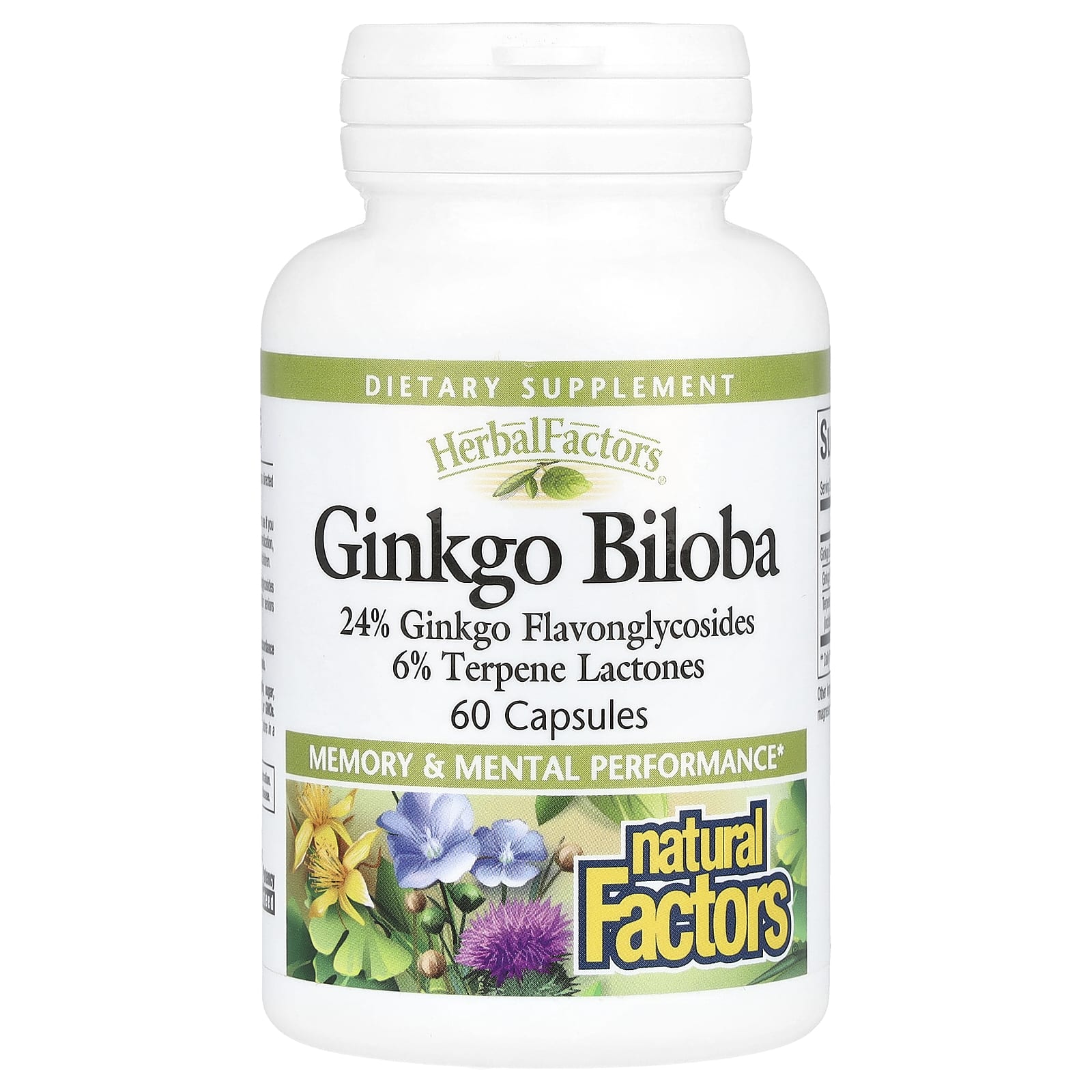 Natural Factors, HerbalFactors®, Ginkgo Biloba, 60 Capsules - B0019LVE68