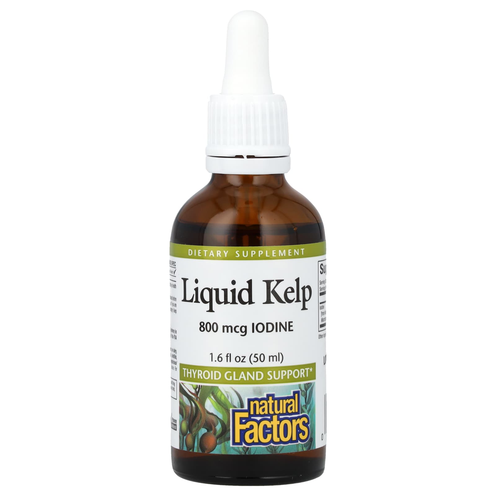 Natural Factors, Liquid Kelp, 800 mcg, 1.6 fl oz (50 ml) - B007A4Y4YM