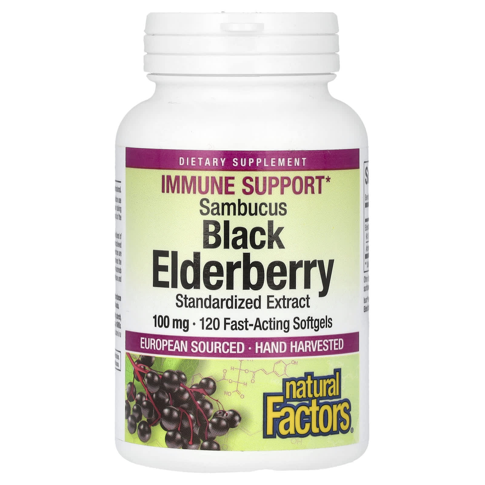 Natural Factors, Sambucus Black Elderberry, 100 mg, 120 Fast-Acting Softgels - B0BZX29TRW