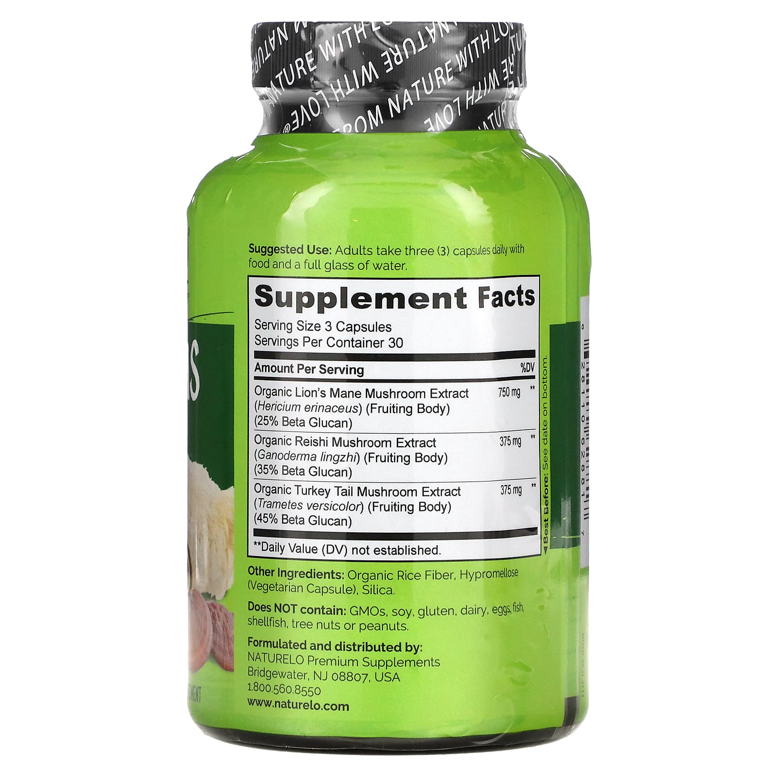 NATURELO, Mushrooms, Brain + Immune Blend, 90 Vegetarian Capsules - B09JYLZJGQ