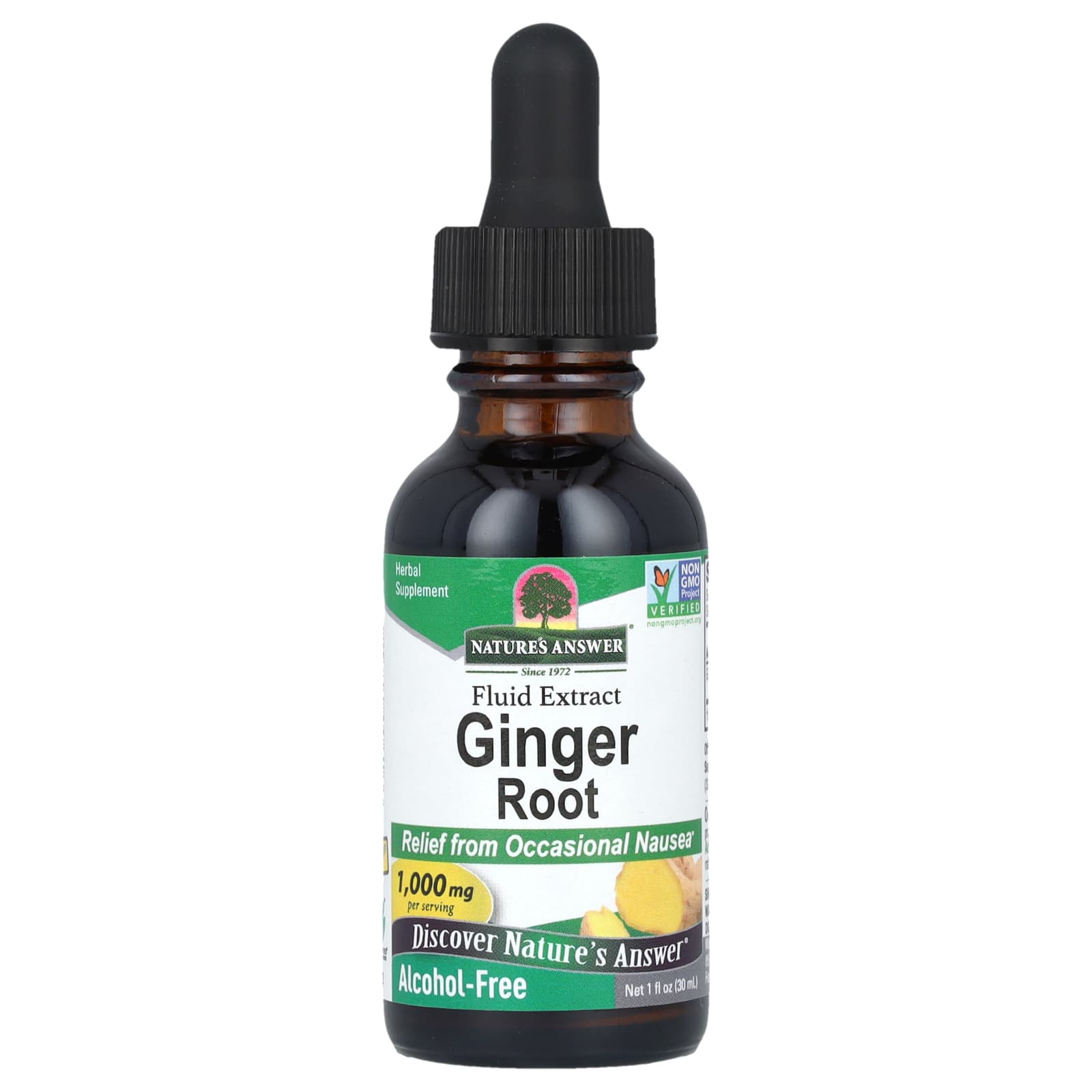 Nature's Answer, Ginger Root, Fluid Extract, Alcohol-Free, 1,000 mg, 1 fl oz (30 ml) - B00DKEWTD4