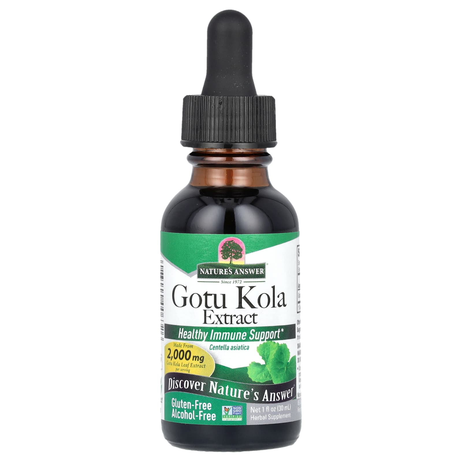 Nature's Answer, Gotu Kola Extract, Alcohol-Free, 2,000 mg, 1 fl oz (30 ml) - B000S86X1Y