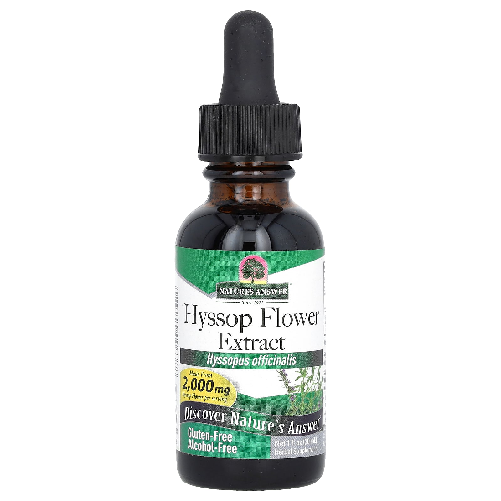 Nature's Answer, Hyssop Flower Extract, Alcohol-Free, 2,000 mg , 1 fl oz (30 ml) - B00DX5M39U