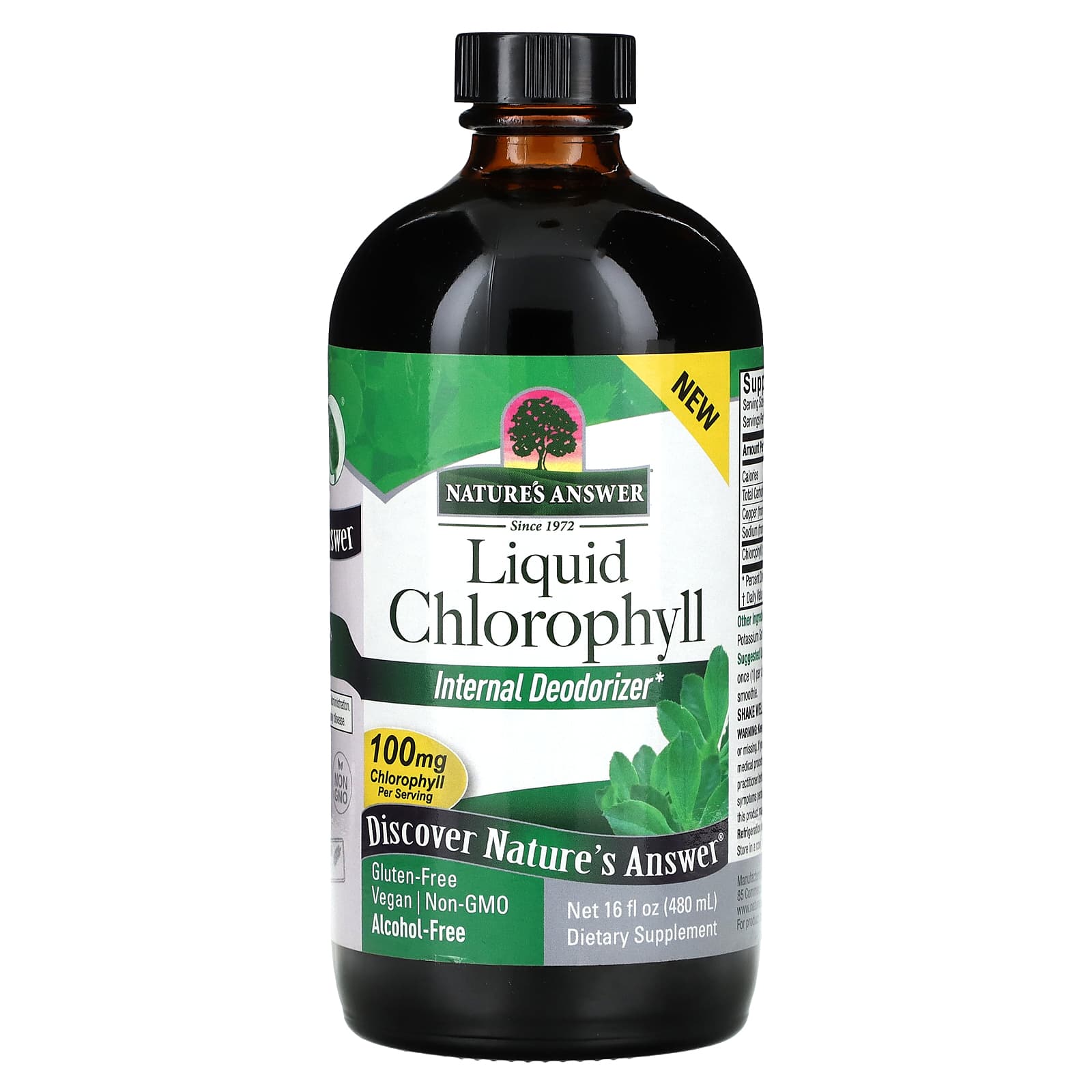 Nature's Answer, Liquid Chlorophyll, 100 mg, 16 fl oz (480 ml) - B09T3QTZKC