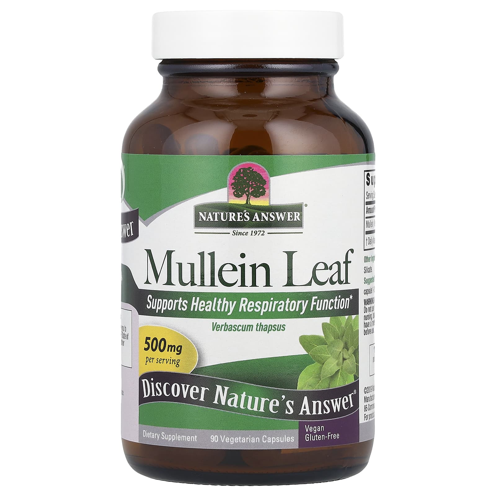 Nature's Answer, Mullein Leaf, 500 mg, 90 Vegetarian Capsules - B0014AT9WK
