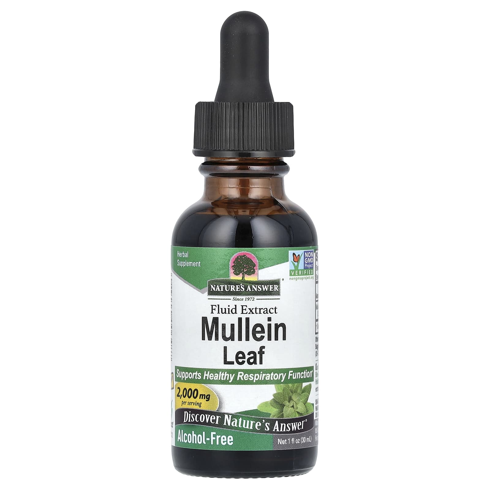 Nature's Answer, Mullein Leaf, Fluid Extract, Alcohol-Free , 2,000 mg, 1 fl oz (30 ml) - B00028LNAQ