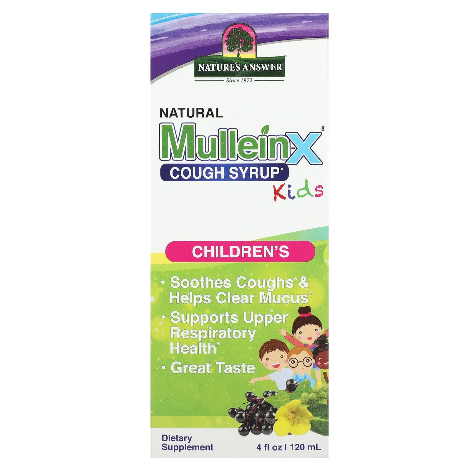 Nature's Answer, Natural Mullein-X Cough Syrup, Kids, 4 fl oz (120 ml) - B0CCQG5M61