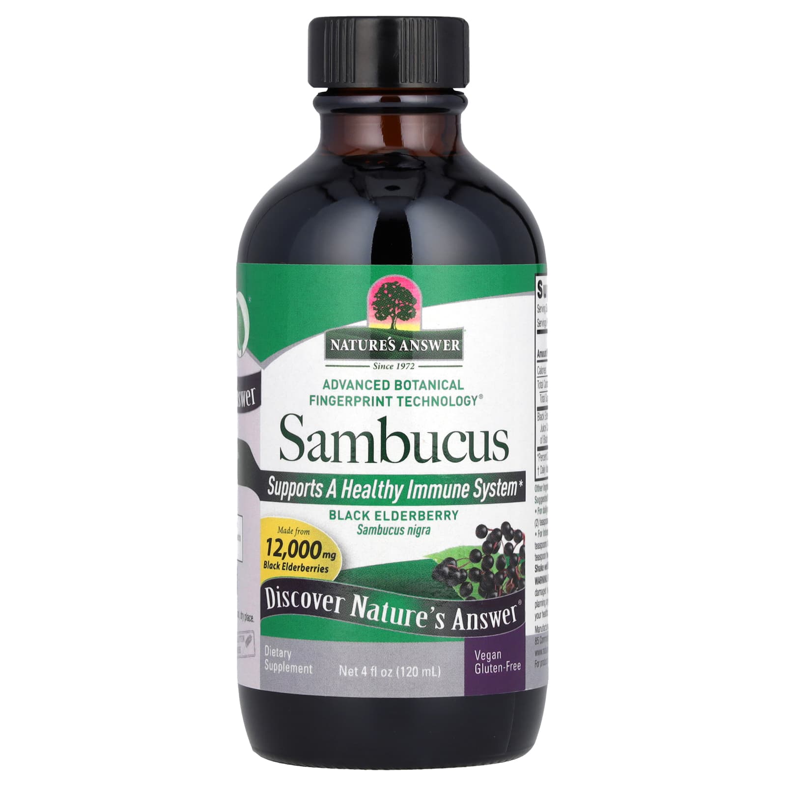 Nature's Answer, Sambucus, Black Elderberry, Alcohol-Free, 12,000 mg, 4 fl oz (120 ml) - B0007CSCIS