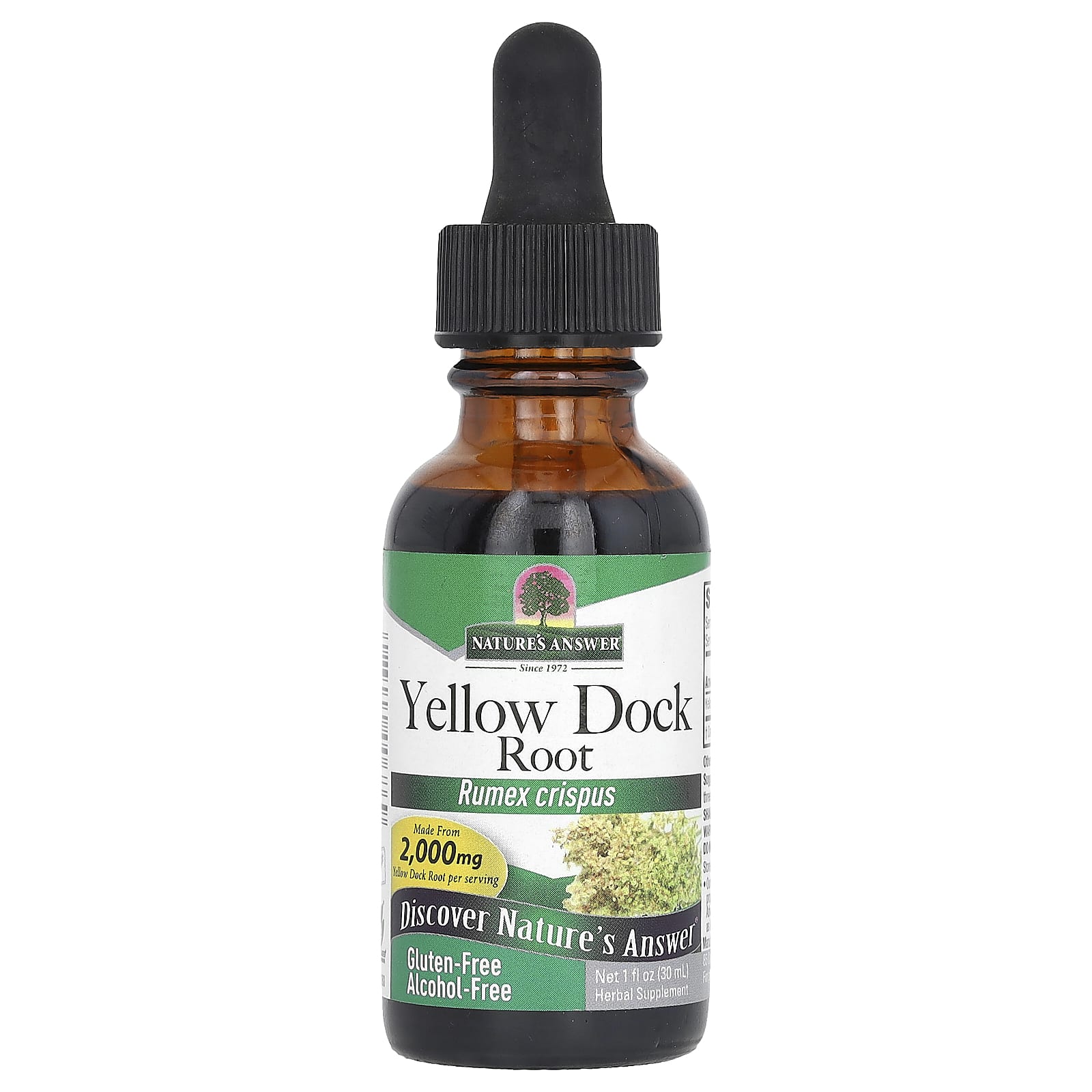 Nature's Answer, Yellow Dock Root, Alcohol-Free, 2,000 mg, 1 fl oz (30 ml) - B00BUCIIHO