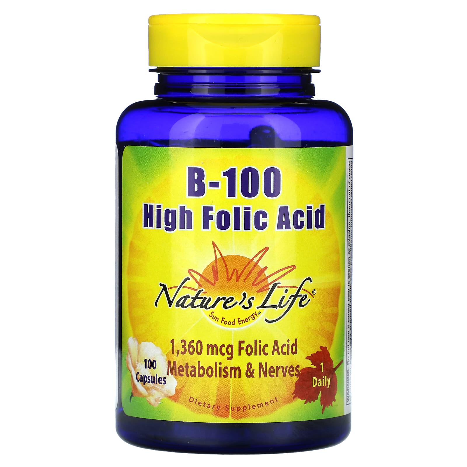 Nature's Life, B-100, High Folic Acid, 1,360 mcg, 100 Capsules - B000POWG58