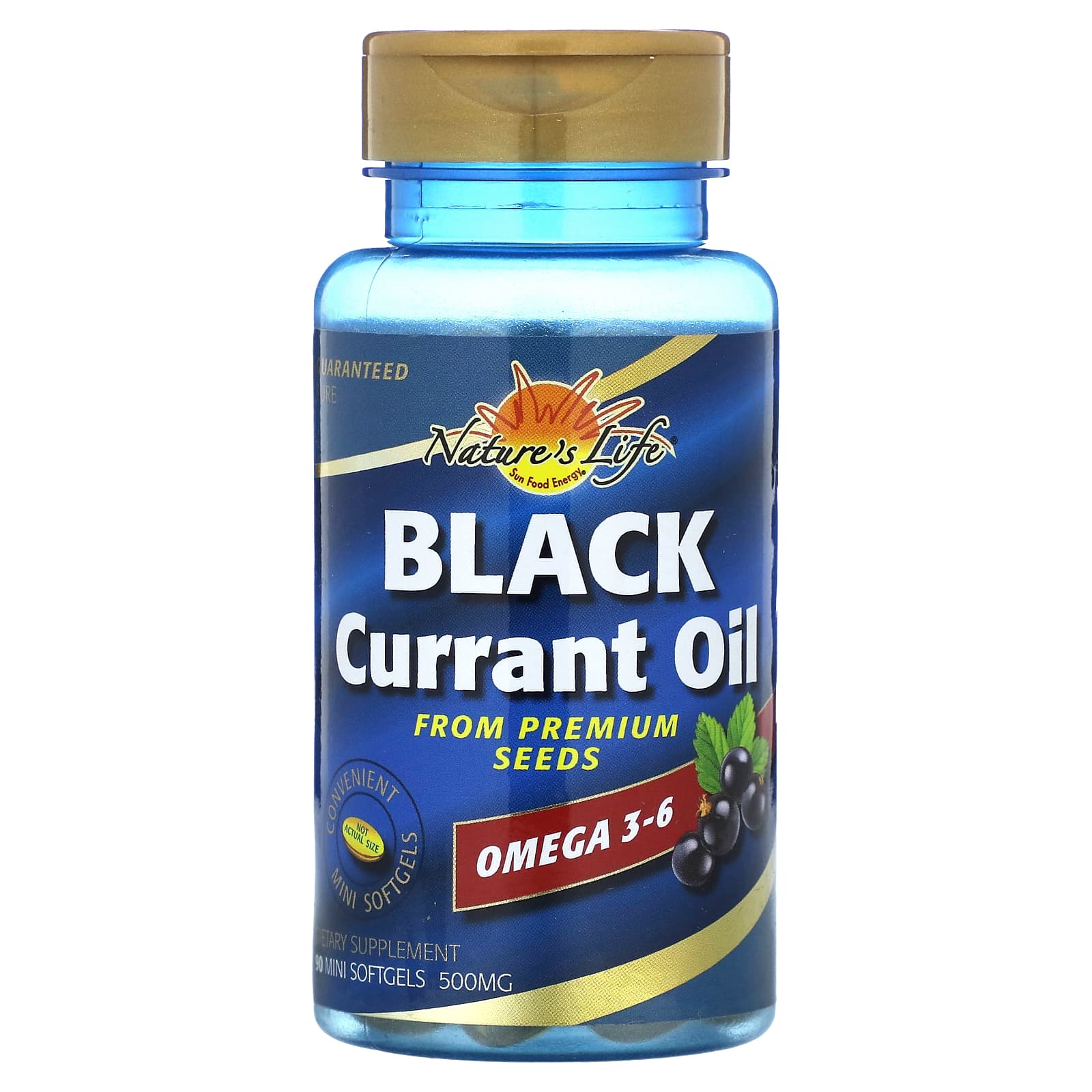 Nature's Life, Black Currant Oil, 500 mg, 90 Mini Softgels - B000SAQ07O