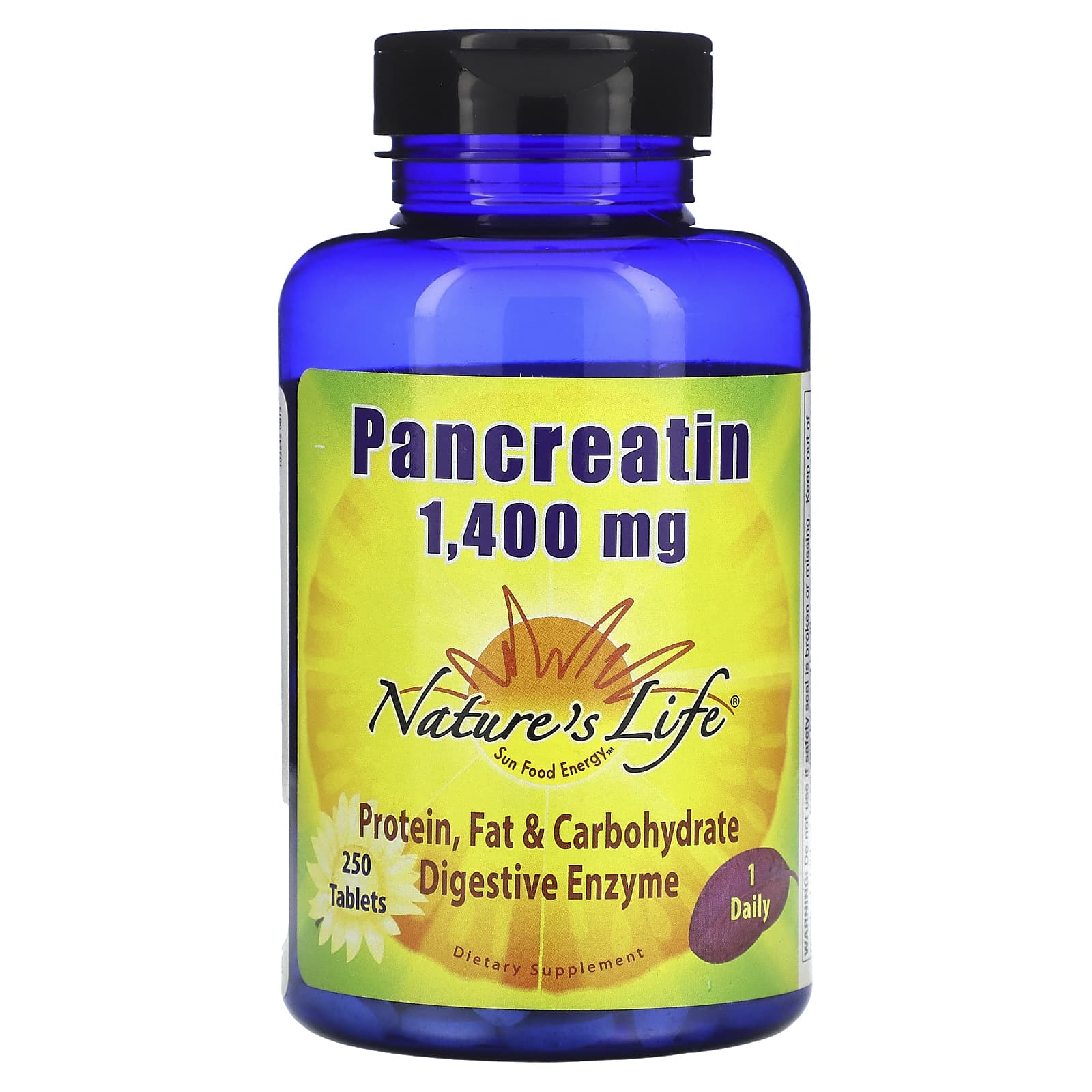 Nature's Life, Pancreatin, 1,400 mg, 250 Tablets - B0001VVLLA