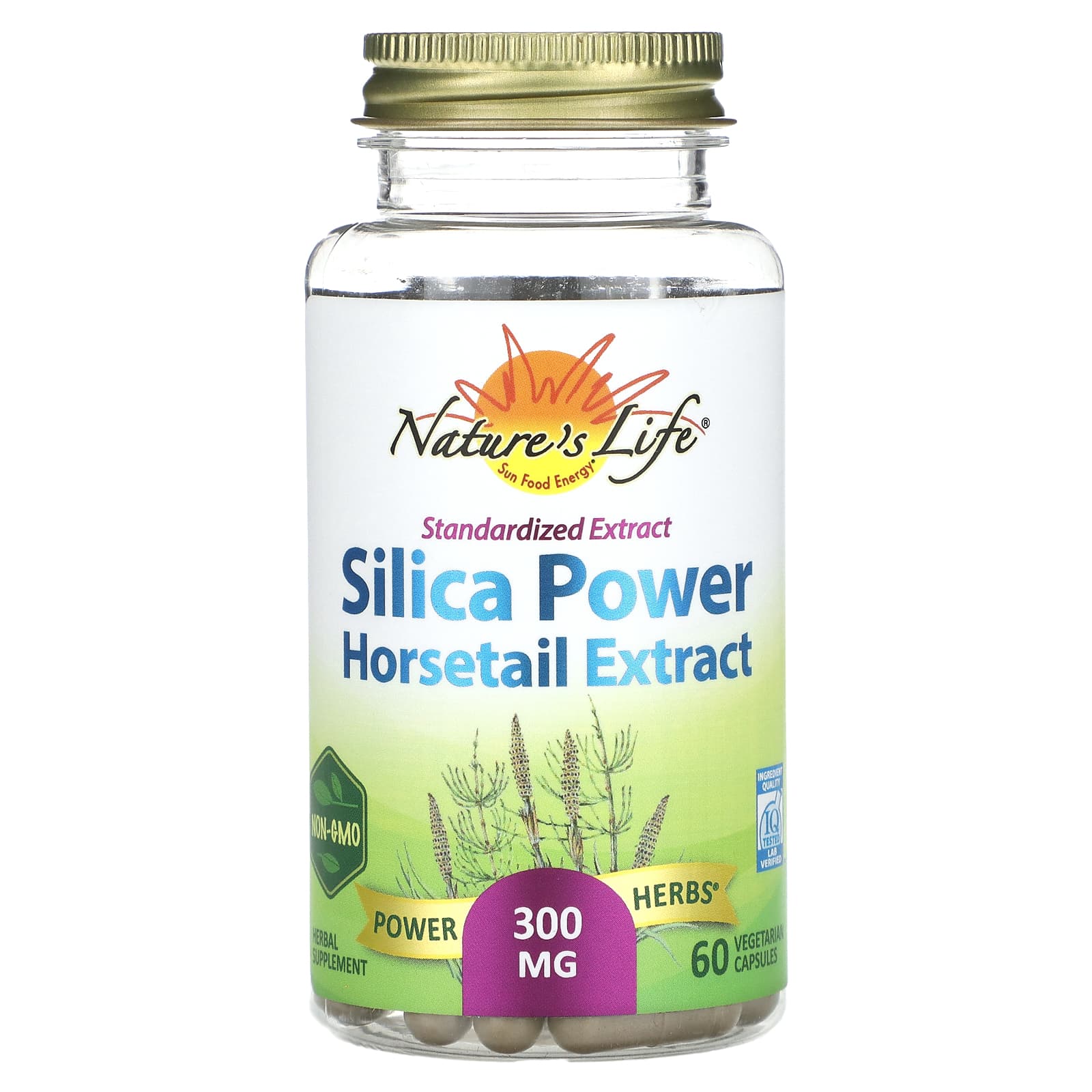 Nature's Life, Silica Power Horsetail Extract, 300 mg, 60 Vegetarian Caps - B00JNBO5KS