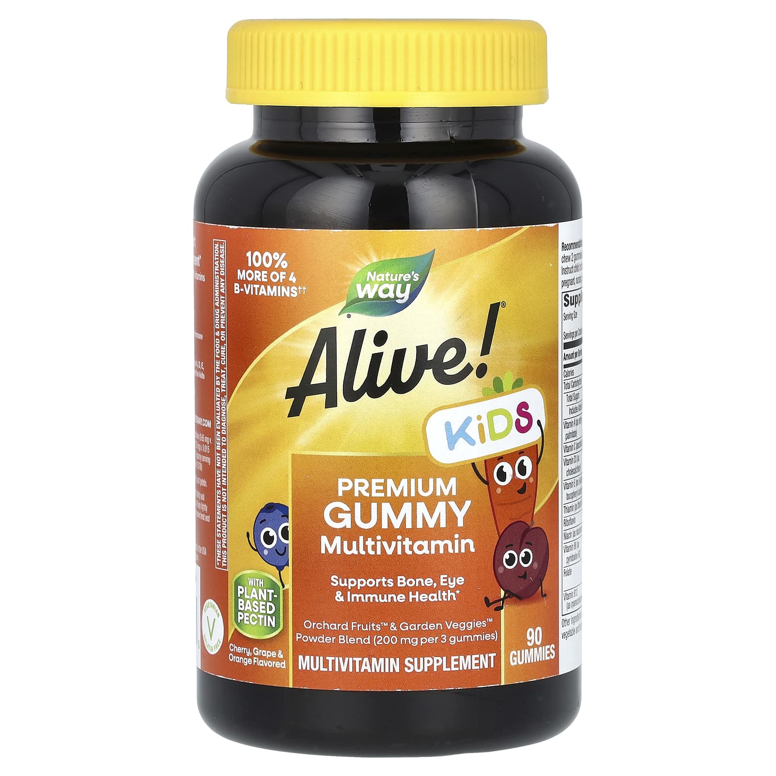 Nature's Way, Alive! Kids, Premium Gummy Multivitamin, Cherry, Grape & Orange, 90 Gummies - B005XNUNAG