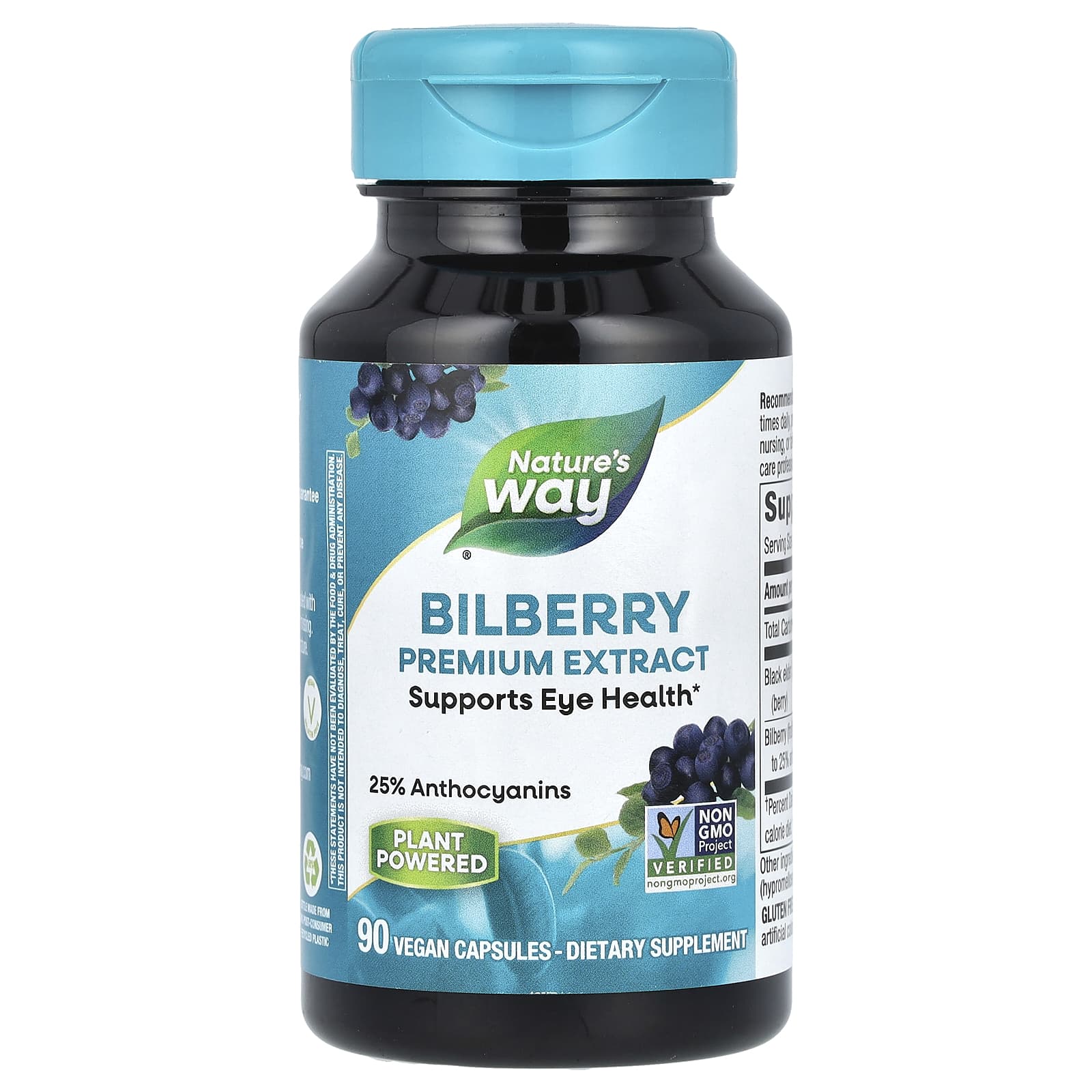 Nature's Way, Bilberry Premium Extract, 90 Vegan Capsules - B000OCPO7S
