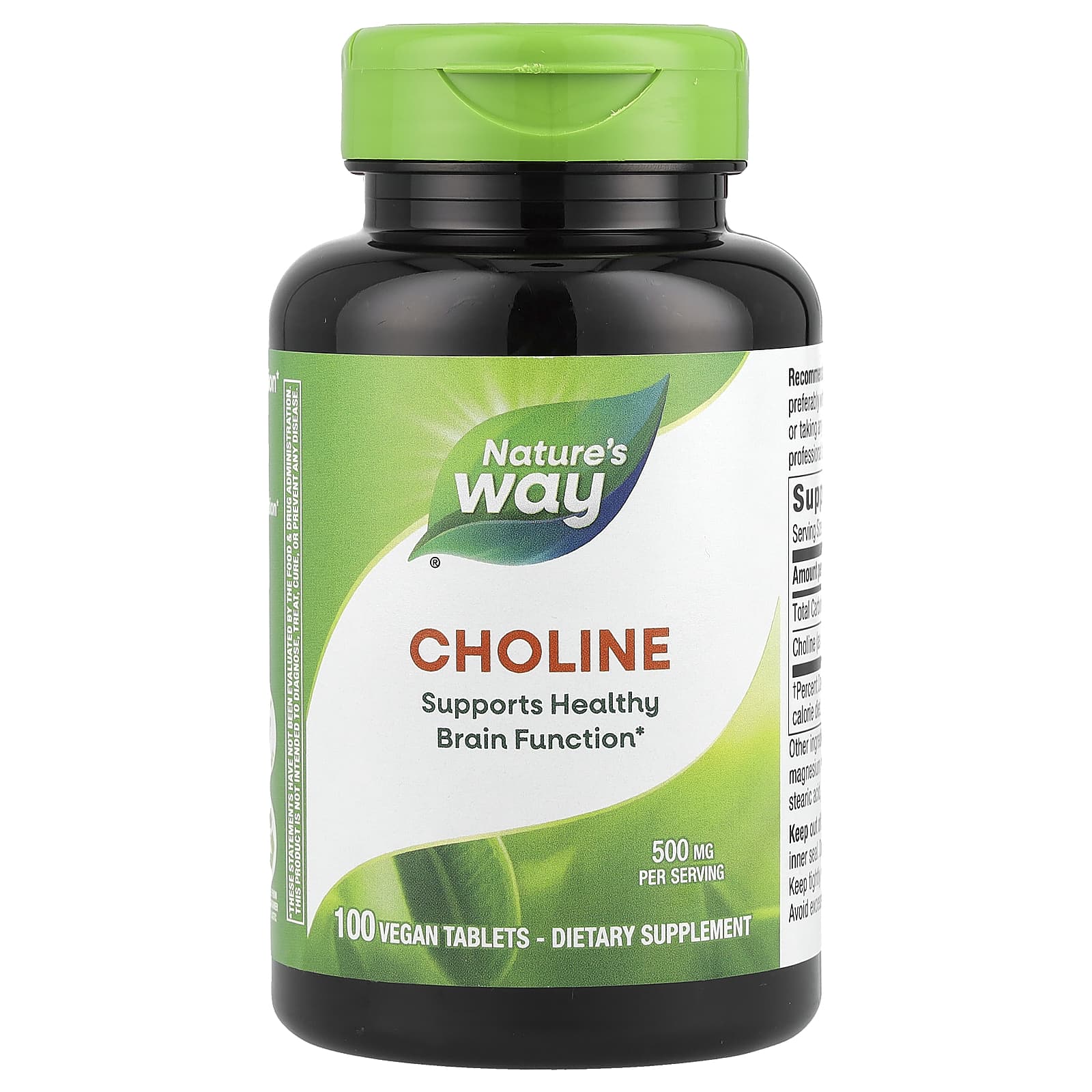 Nature's Way, Choline, 500 mg, 100 Vegan Tablets - B074XDD5GW