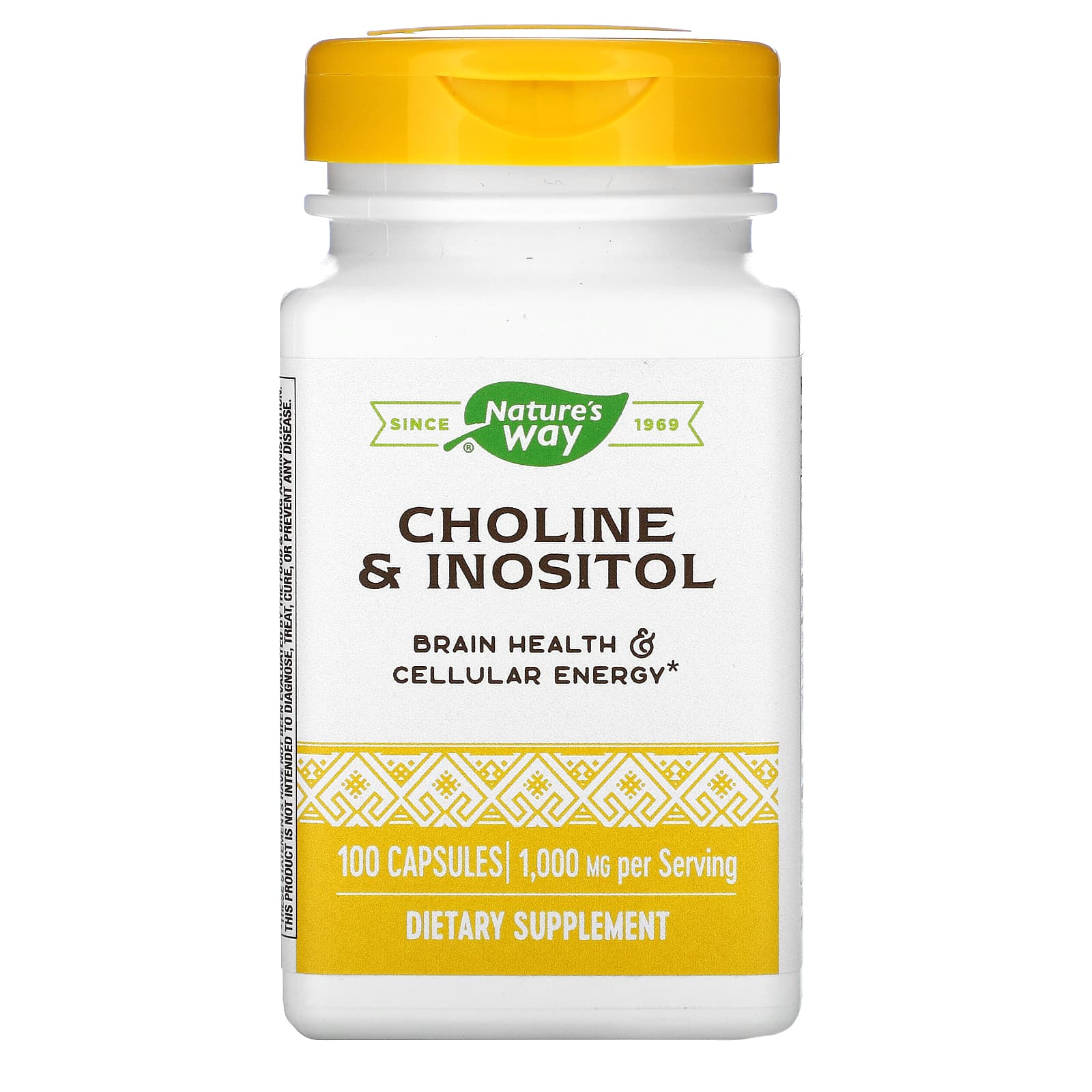 Nature's Way, Choline & Inositol, 1,000 mg, 100 Capsules (500 mg per Capsule) - B002S4PC3G