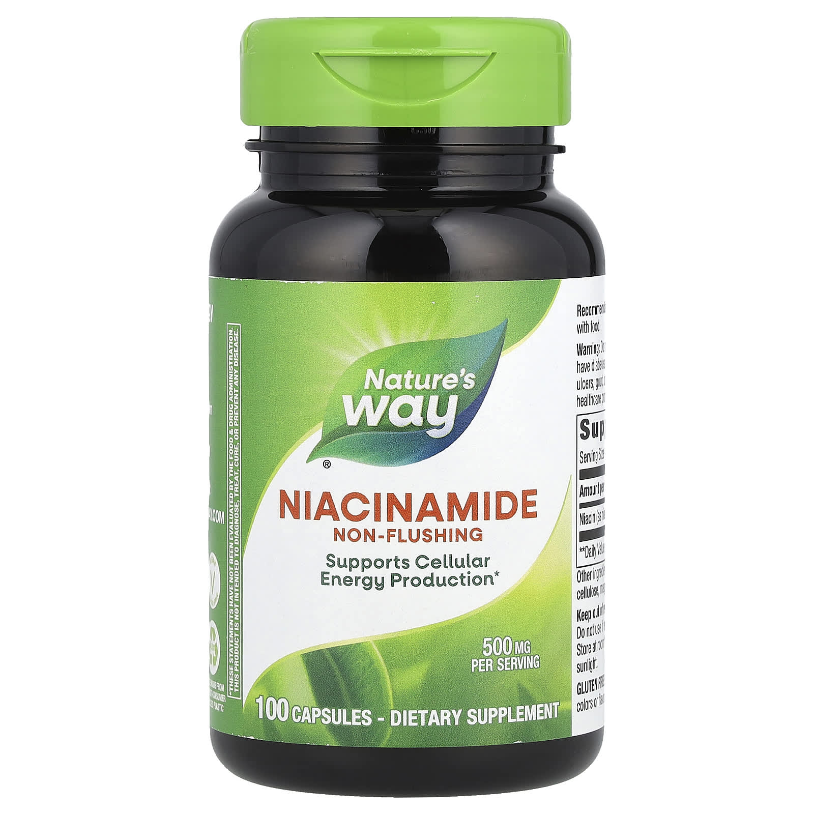 Nature's Way, Niacinamide, Non-Flushing, 500 mg, 100 Capsules - B000I4AIUK