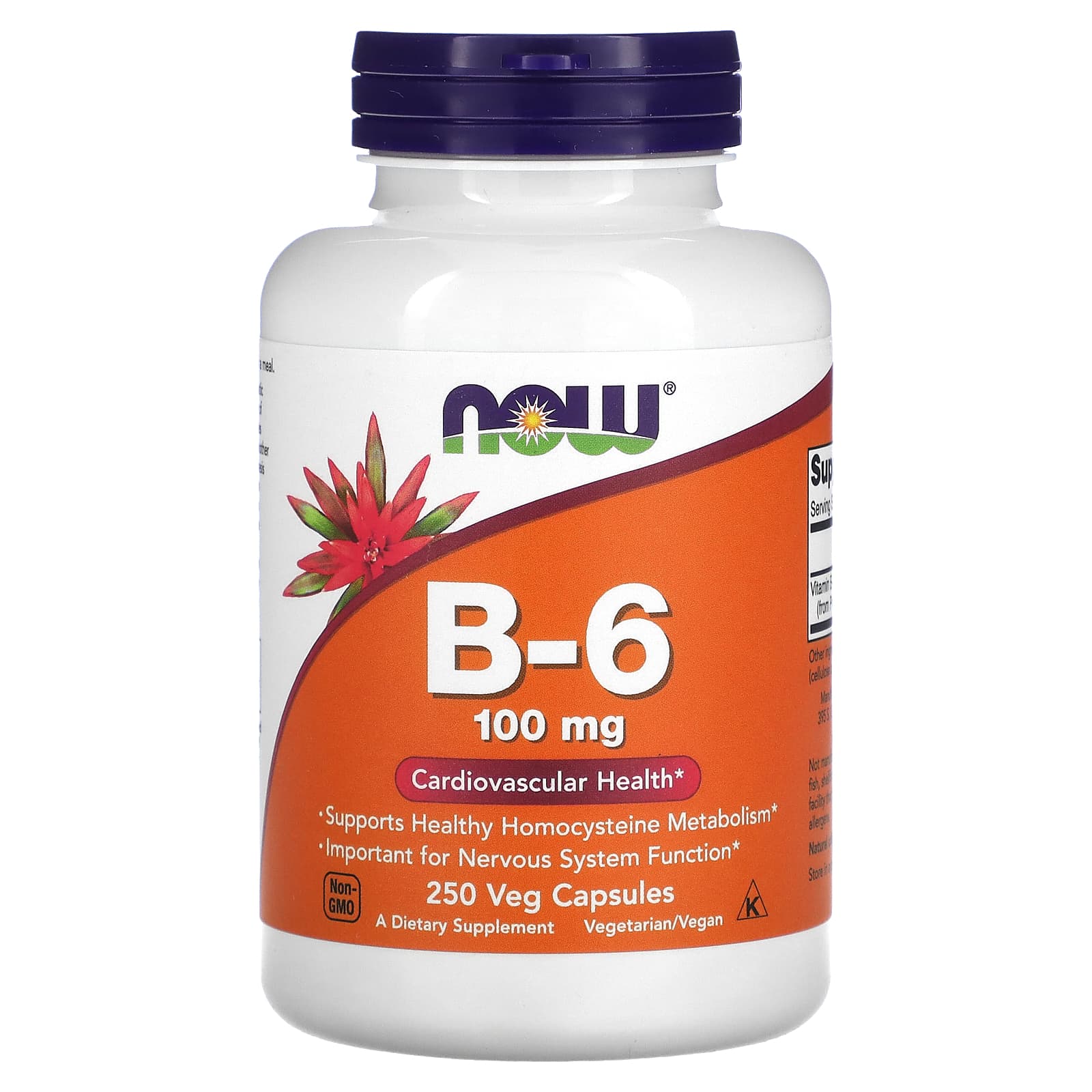 NOW Foods, B-6, 100 mg, 250 Veg Capsules - B005P0XRK0