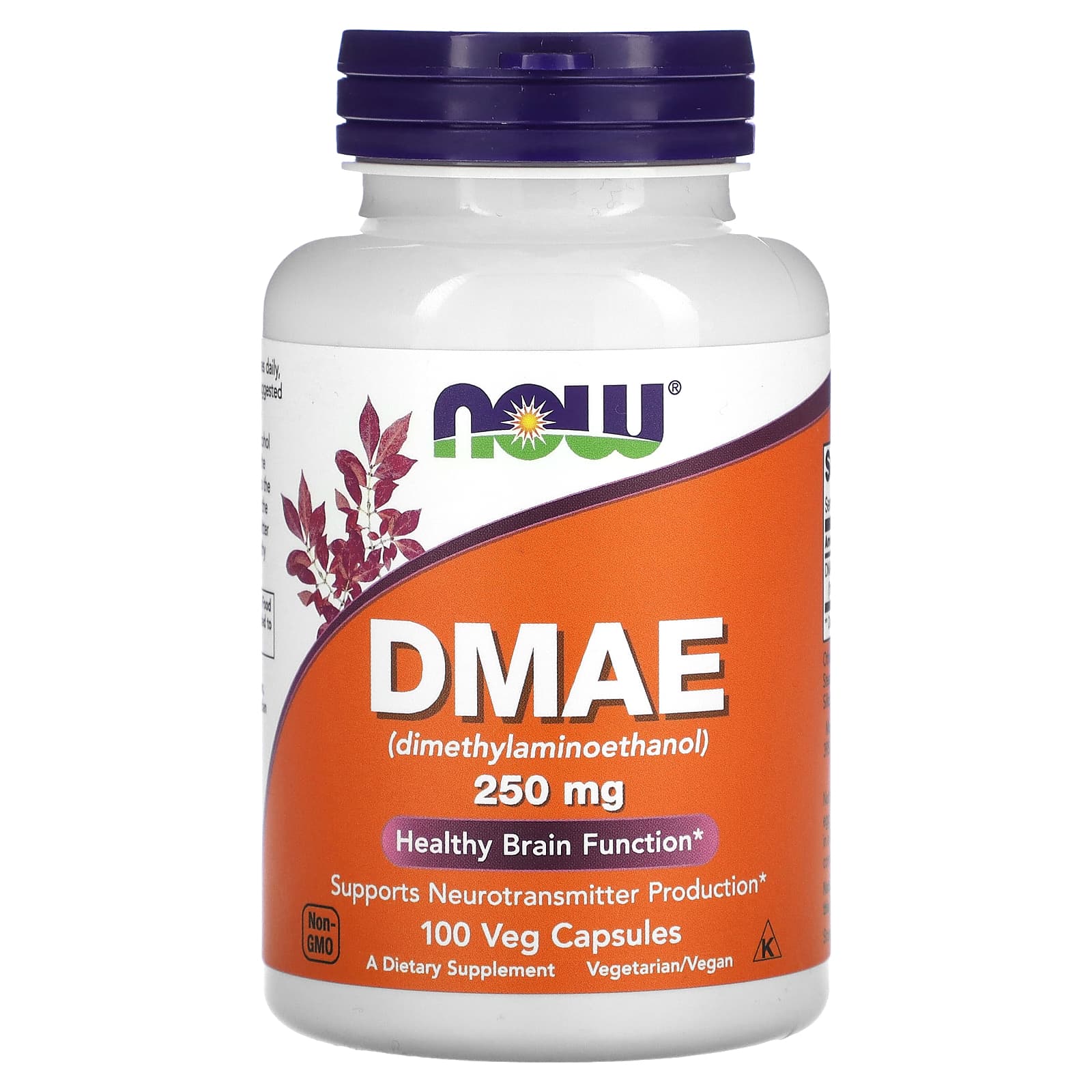 NOW Foods, DMAE, 250 mg, 100 Veg Capsules - B0019LTJ9C