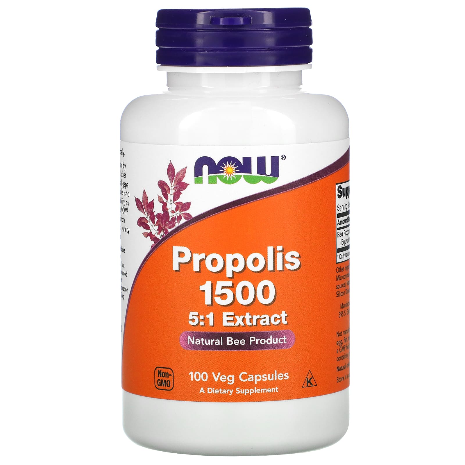 NOW Foods, Propolis 1500, 100 Veg Capsules - B000MGWGMW