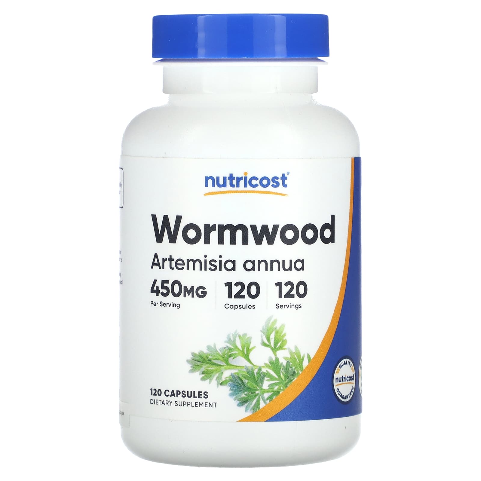 Nutricost, Wormwood, 450 mg, 120 Capsules - B07WDTGK8S