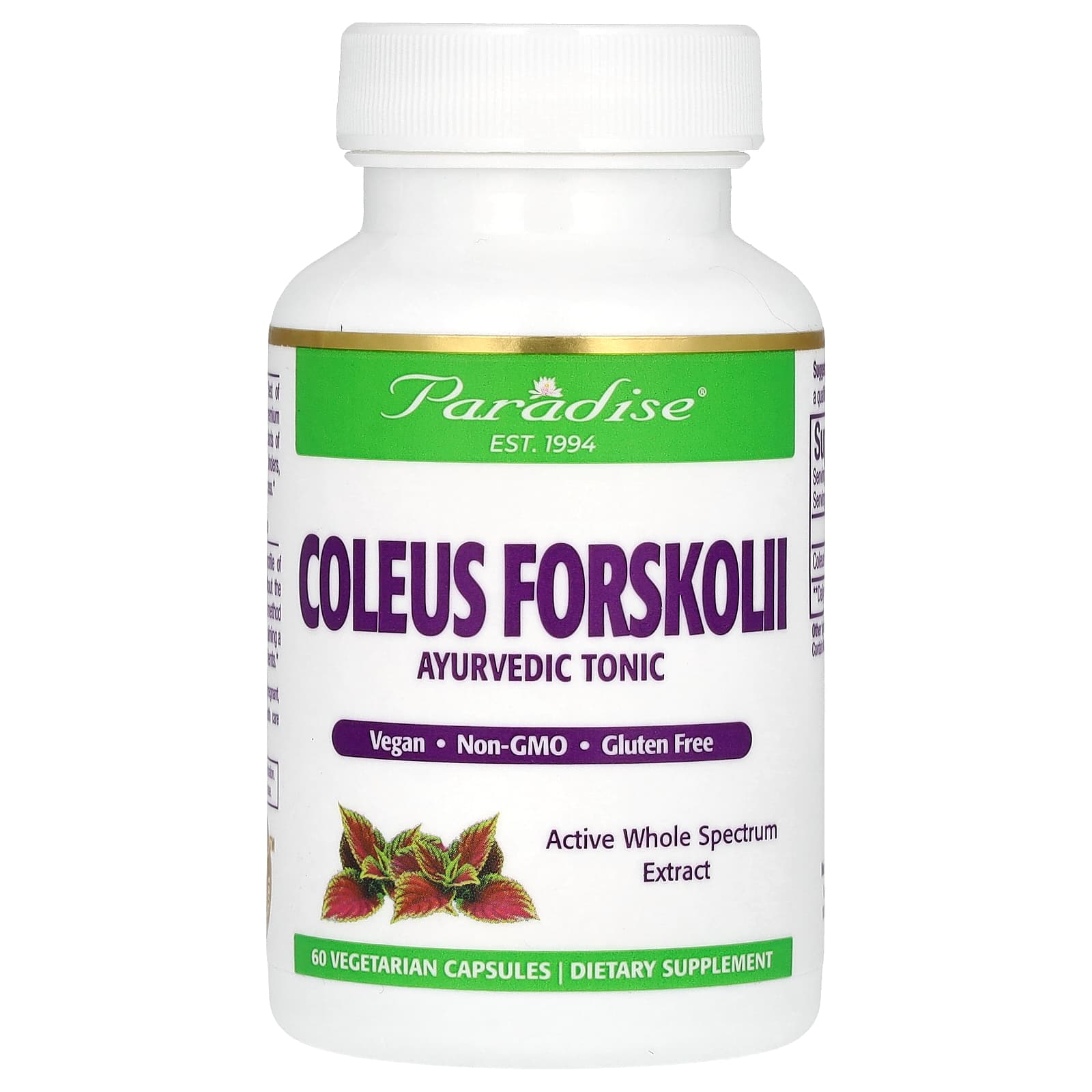 Paradise Herbs, Coleus Forskolii, 60 Vegetarian Capsules - B00064X2LY
