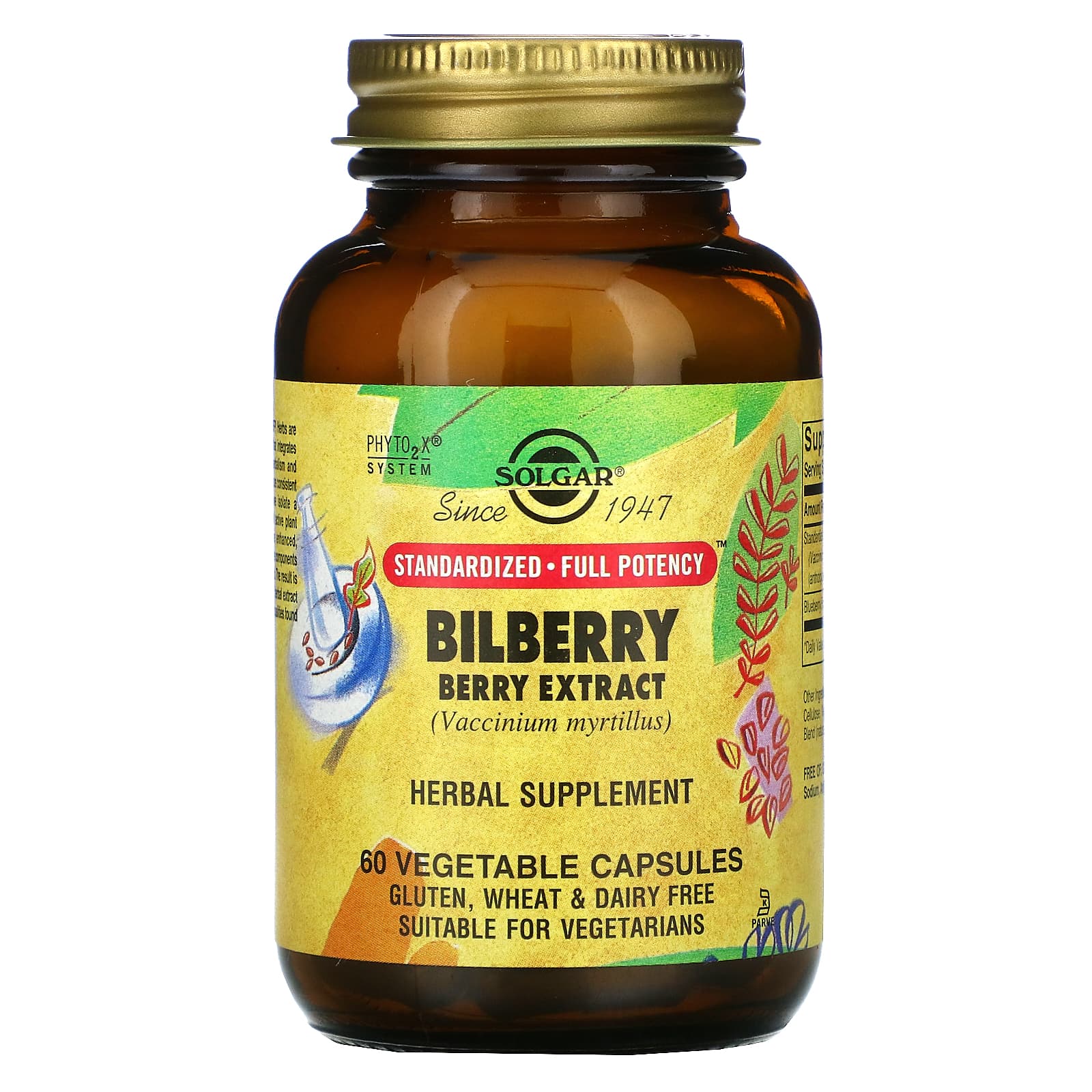 Solgar, Bilberry Berry Extract, 60 Vegetable Capsules - B0001VURLK