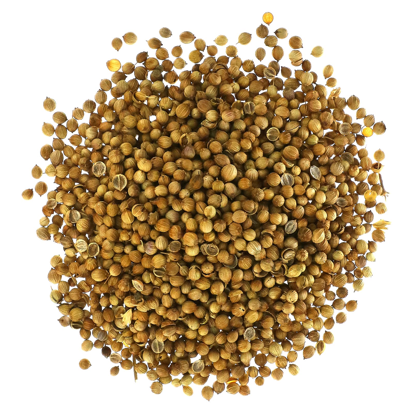 Starwest Botanicals, Organic Coriander Seed, 1 lb (453.6 g) - B00ZAVETNS
