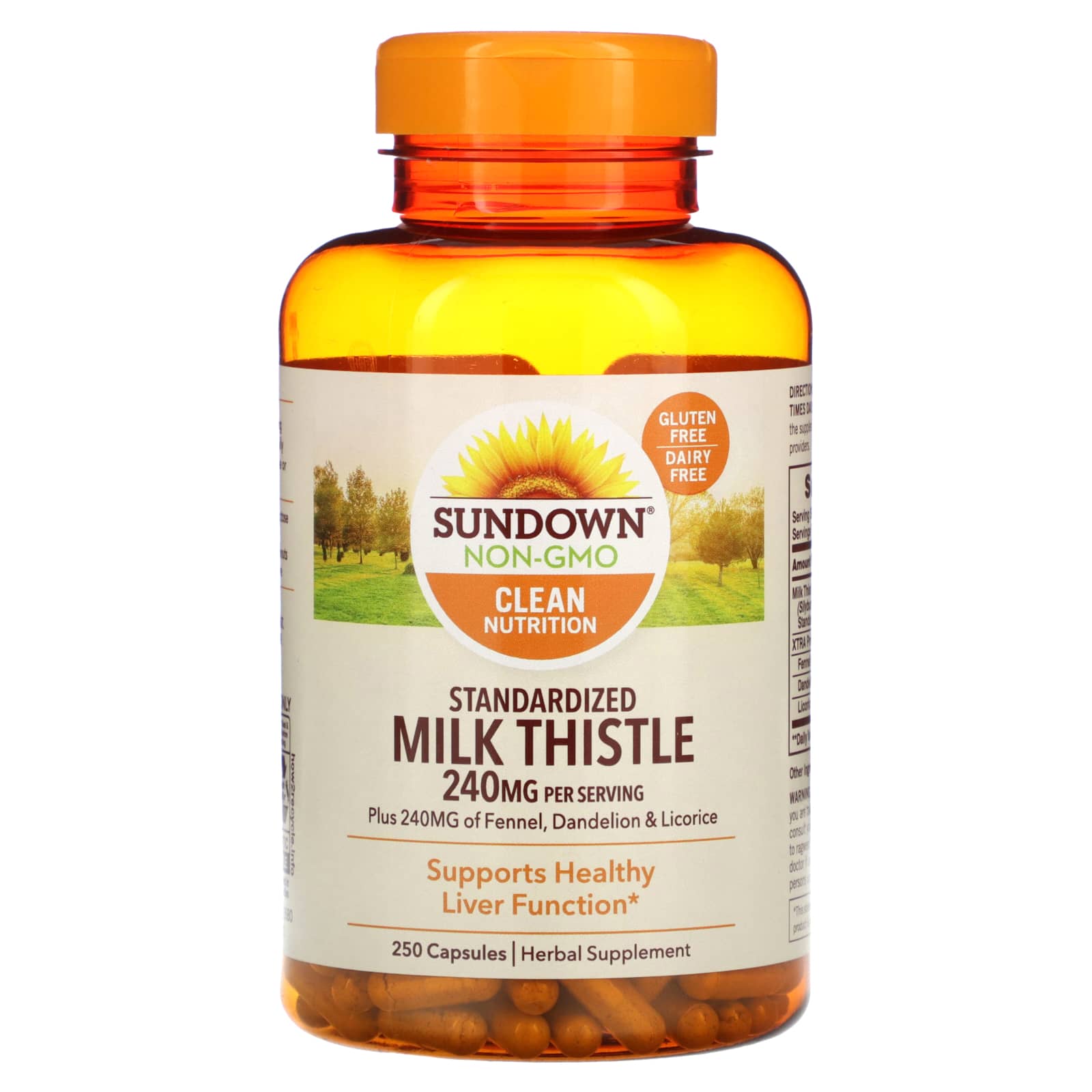 Sundown Naturals, Standardized Milk Thistle, 240 mg, 250 Capsules (120 mg per Capsule) - B002YIHOVO