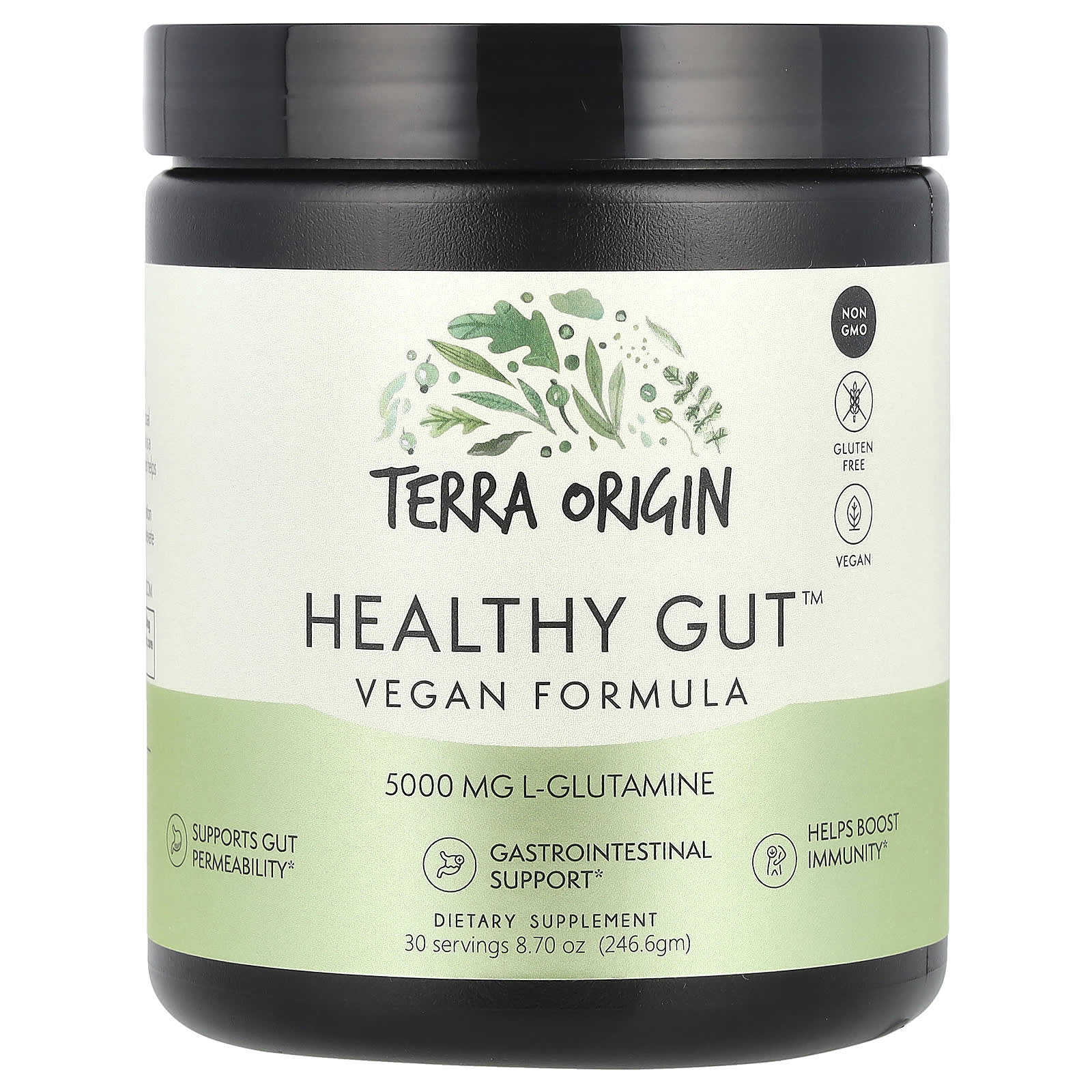 Terra Origin, Healthy Gut™, Vegan Formula, 8.7 oz (246.6 g) - B09DLBQ758