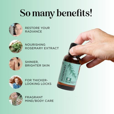 Maple Holistics 100% Pure Rosemary Essential Oil - B017PFPUHK