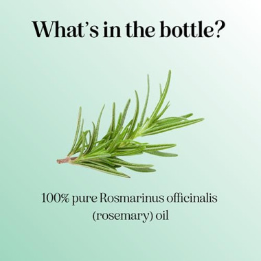 Maple Holistics 100% Pure Rosemary Essential Oil - B017PFPUHK