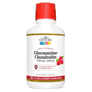 21st Century Triple Strength Liquid Glucosamine Chondroitin - B0007PLOZS