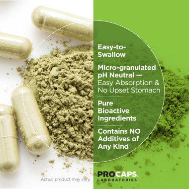 Andrew Lessman Sulforaphane Glucosinolate Cruciferous Extract - B07TKD3SR7